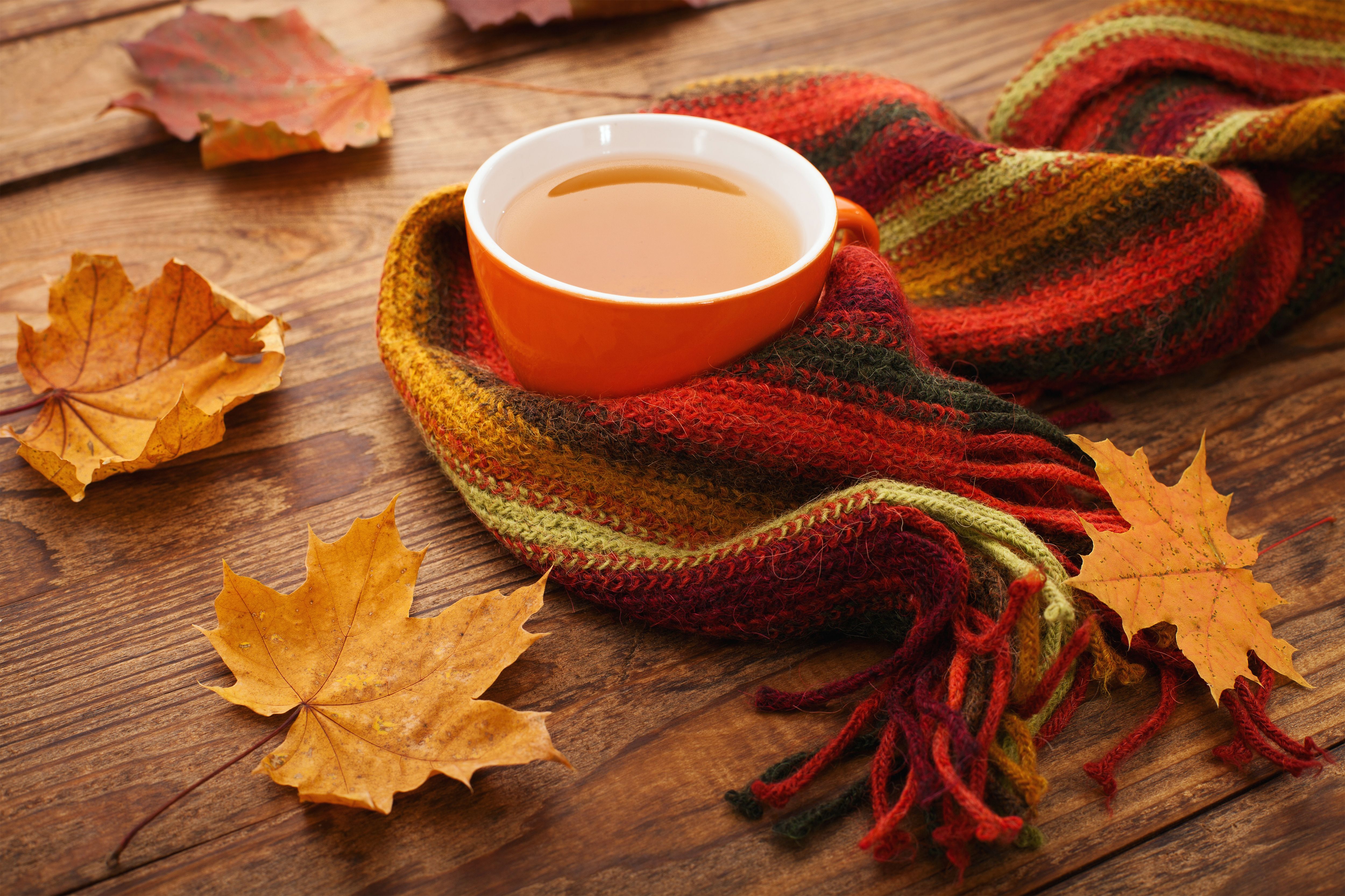 Autumn Background with Cup of Coffee and Scarf​-Quality Image and Transparent PNG Free Clipart