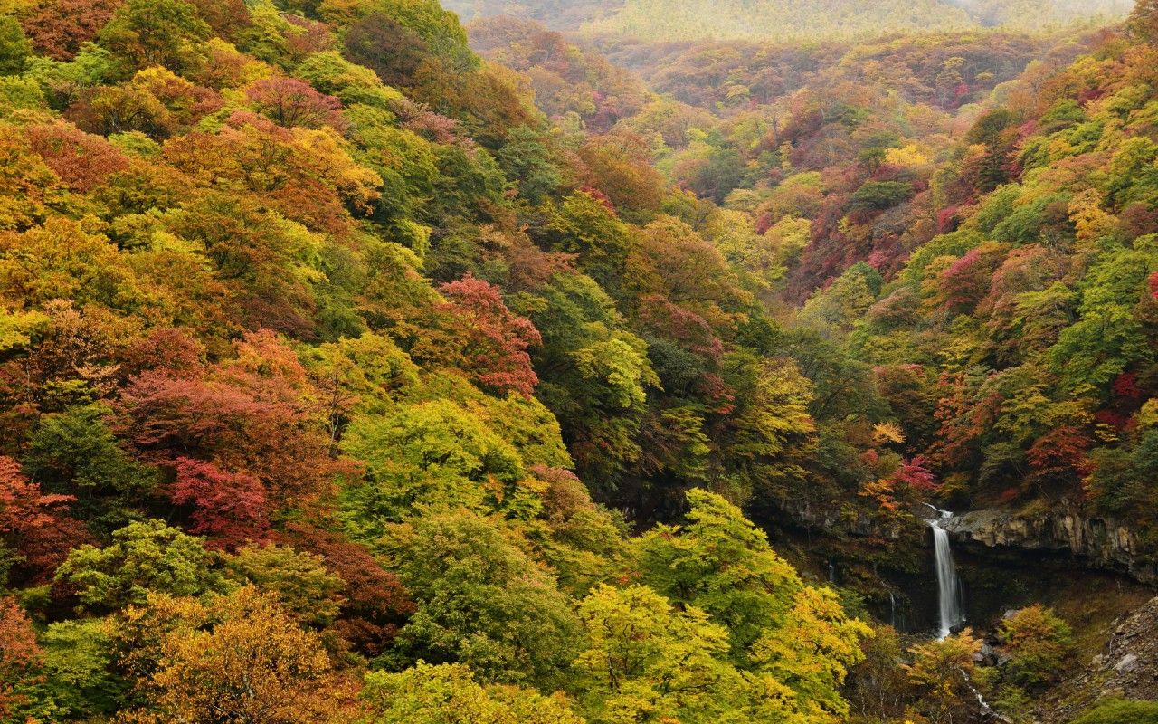Vibrant Autumn Wood Waterfall wallpaper. Vibrant Autumn Wood Waterfall