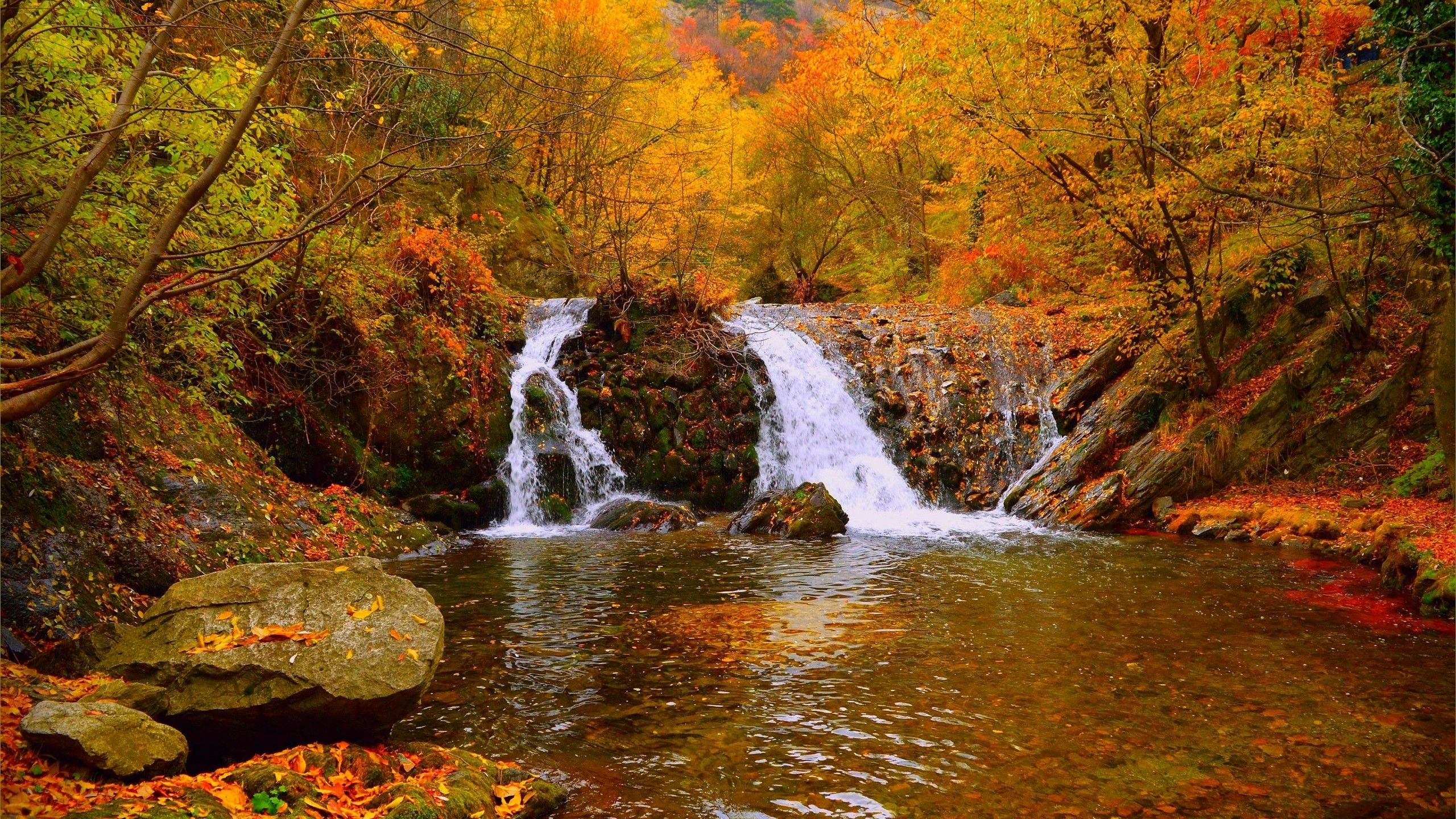 Download 2560x1440 Autumn, Waterfall, Vibrant Colors, Pretty, Photography, Stream, Forest Wallpaper for iMac 27 inch