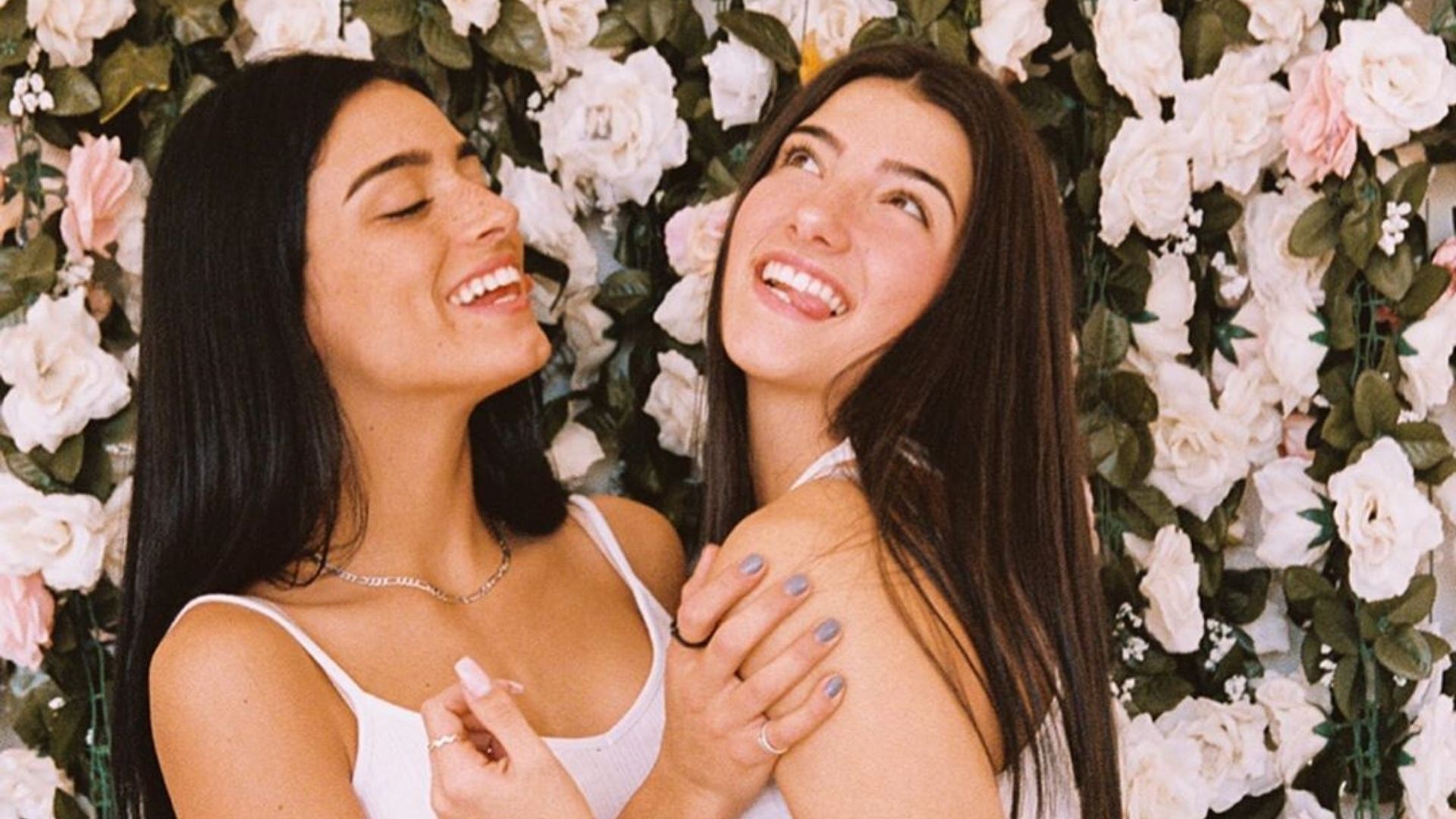 Morphe is launching a new brand with Charli and Dixie D'Amelio. Cosmopolitan Middle East