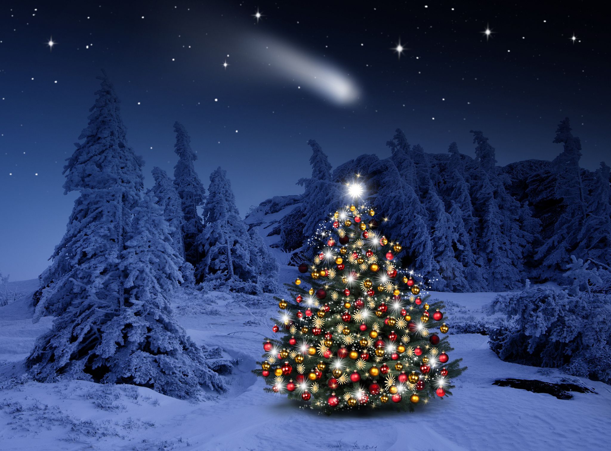 Lighted Christmas Tree in Winter Forest Computer Wallpaper. Outdoor christmas tree, Outdoor christmas tree decorations, Christmas tree lighting