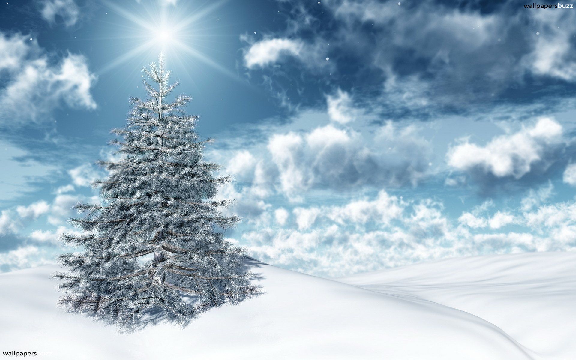 Christmas Tree Tree And Snow Wallpaper & Background Download