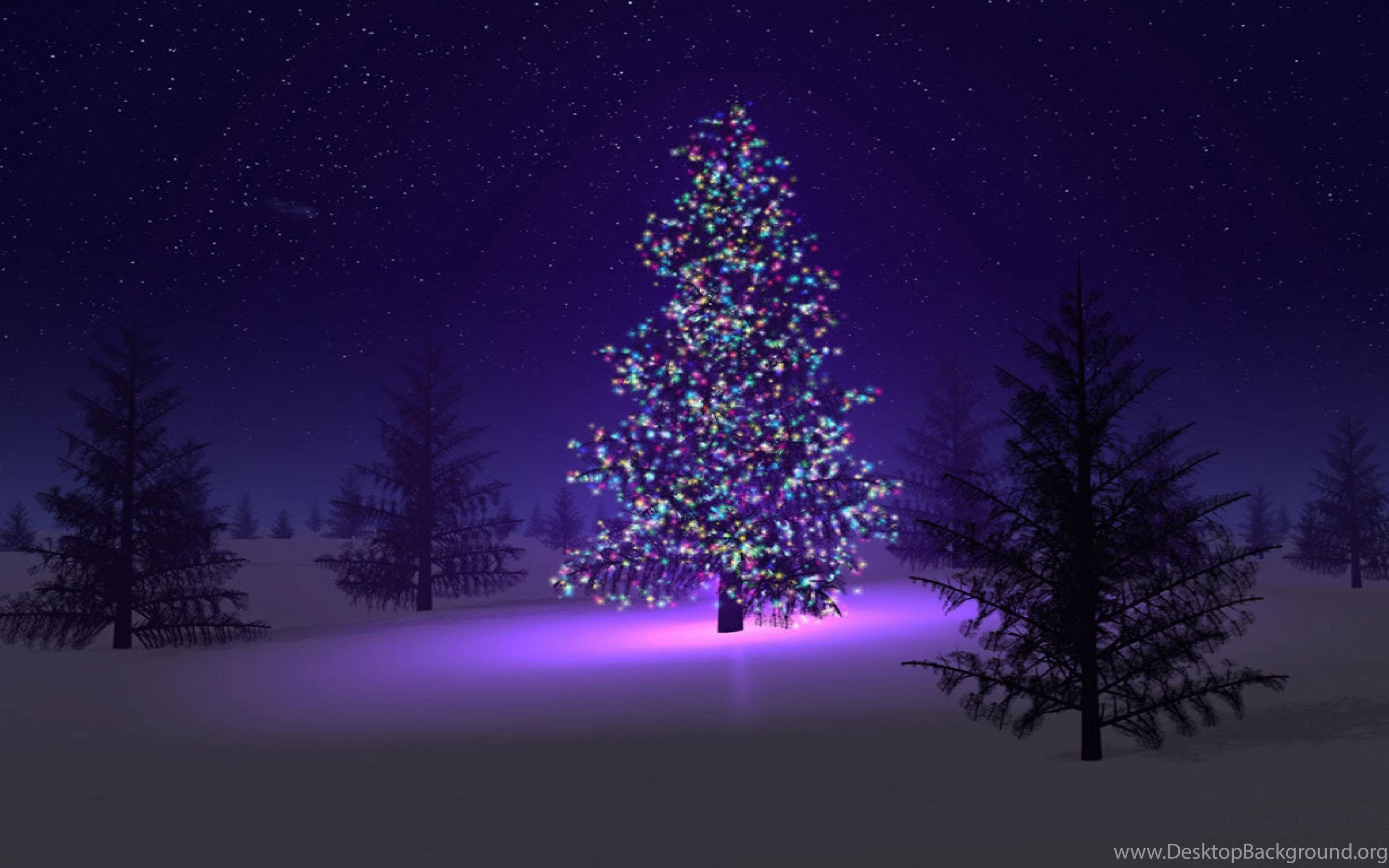 Christmas Tree In The Snow Wallpaper Desktop Background