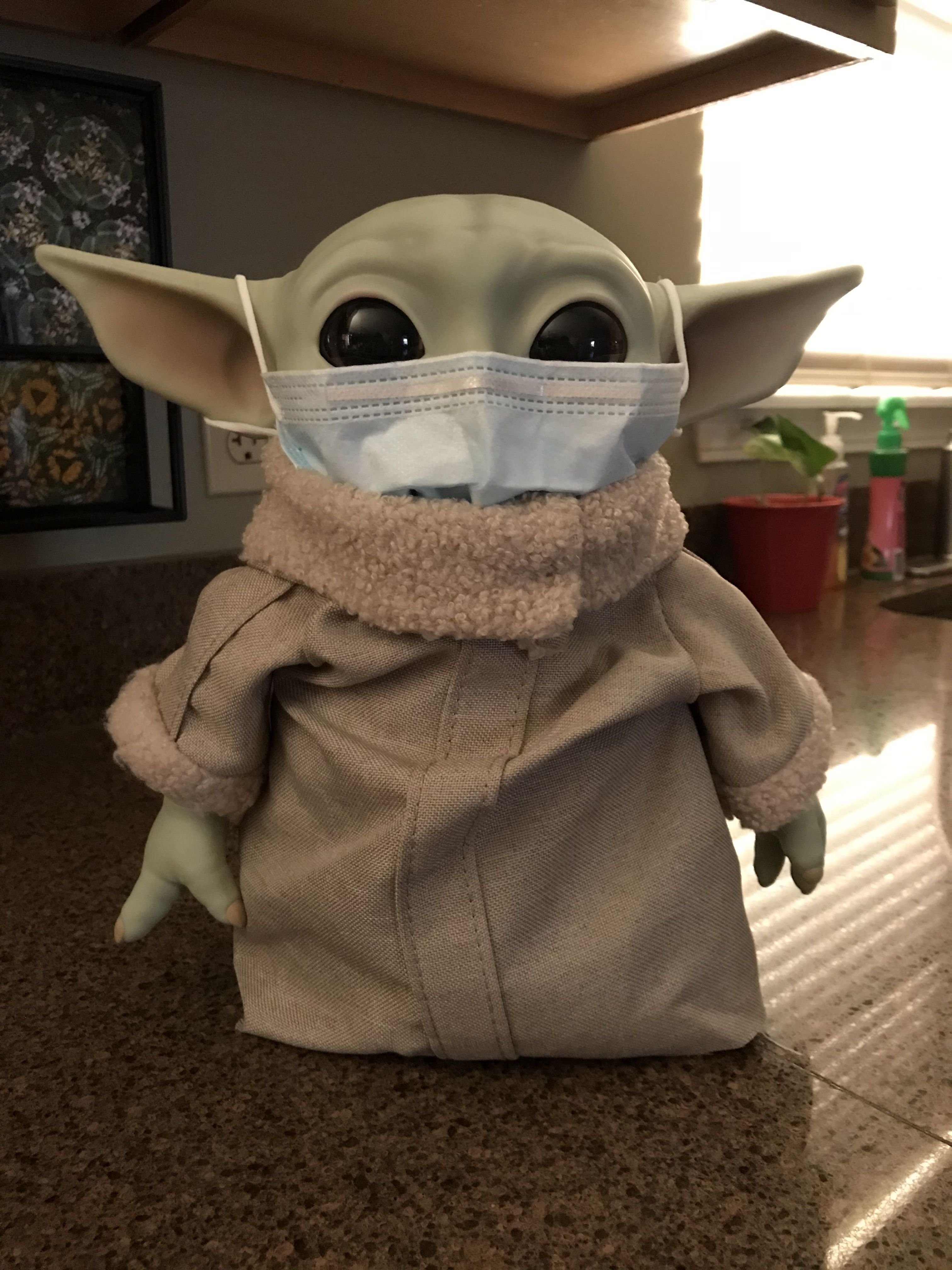 Baby Yoda getting ready to go to the store. Rona ain't going to get him!. Yoda wallpaper, Yoda meme, Baby yoda costume