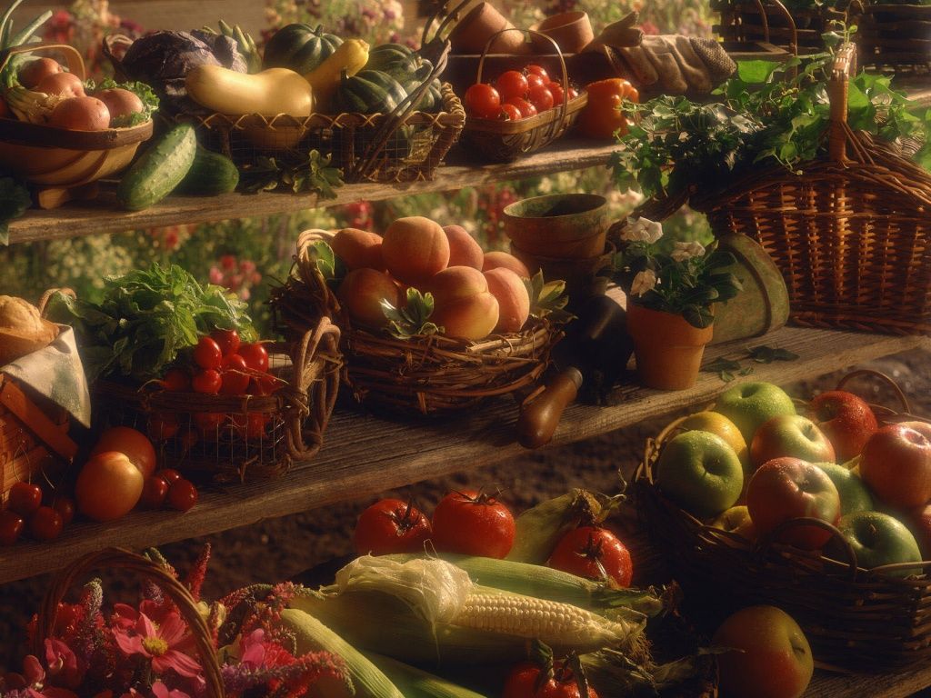 Thanksgiving 1024x768 Wallpapers - Wallpaper Cave