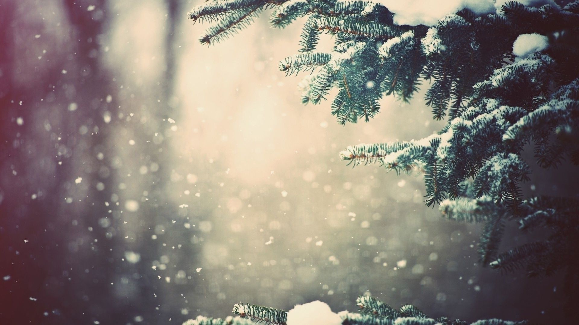 Christmas Tree With Snow On It Wallpapers - Wallpaper Cave