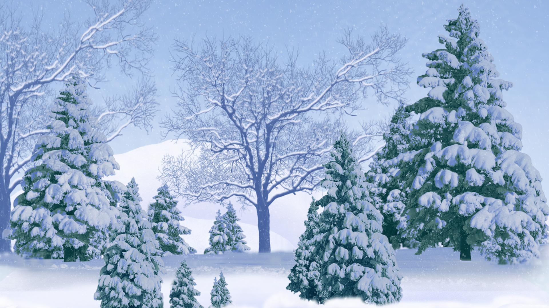 Snowy Trees Background wallpaperx1080