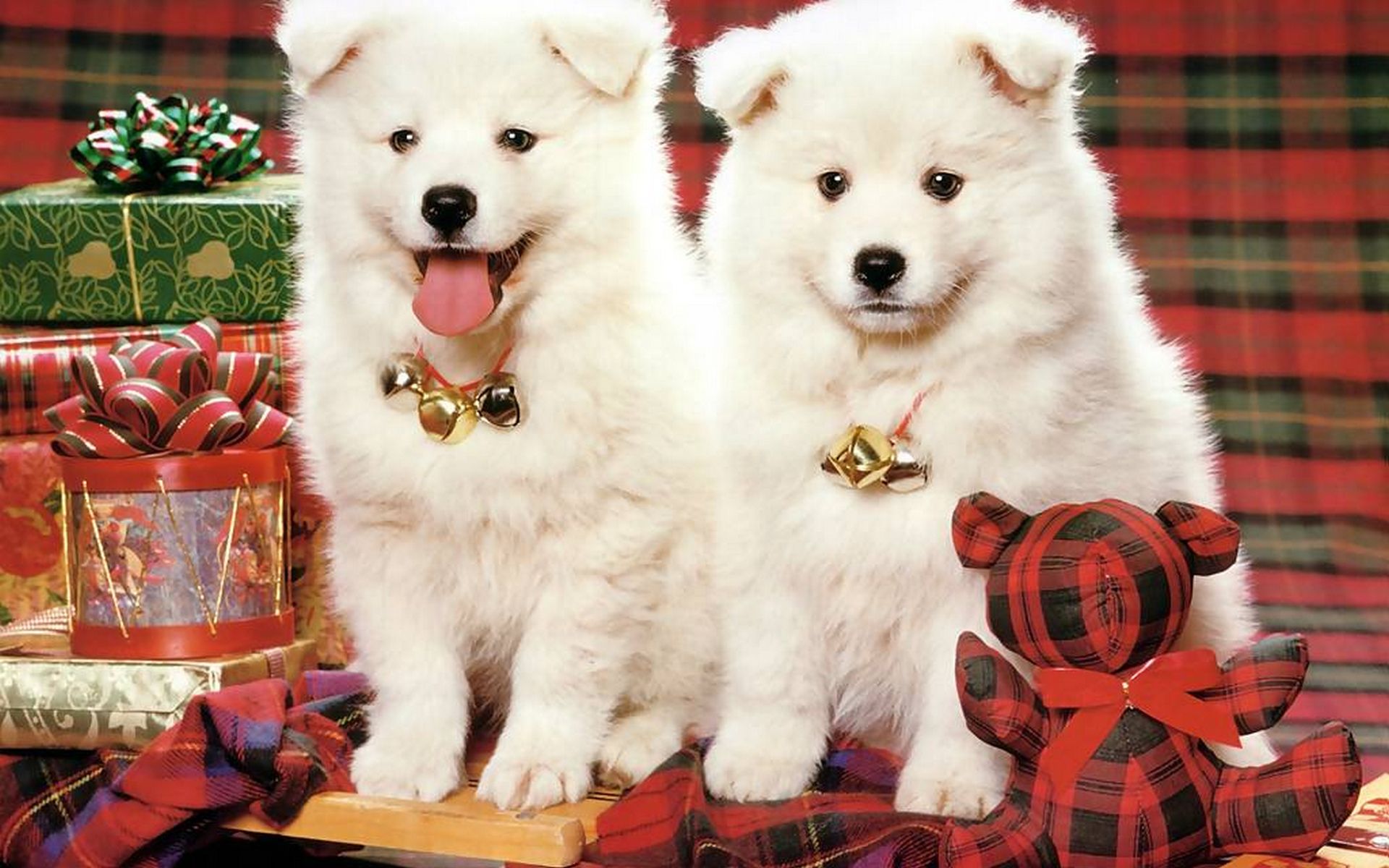 Desktop christmas puppy background wallpaper