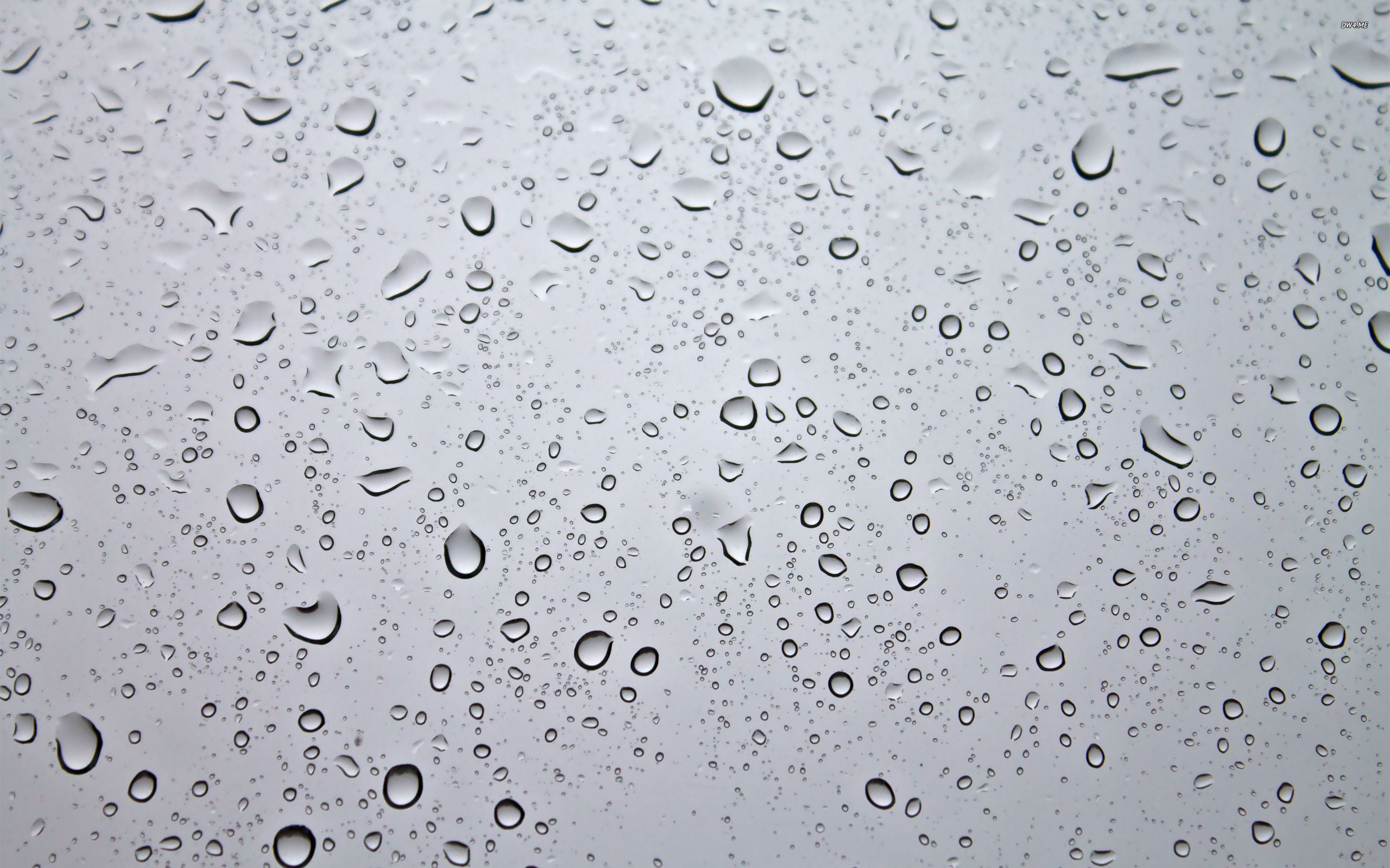 Free Water Droplets, Download Free Clip Art, Free Clip Art on Clipart Library