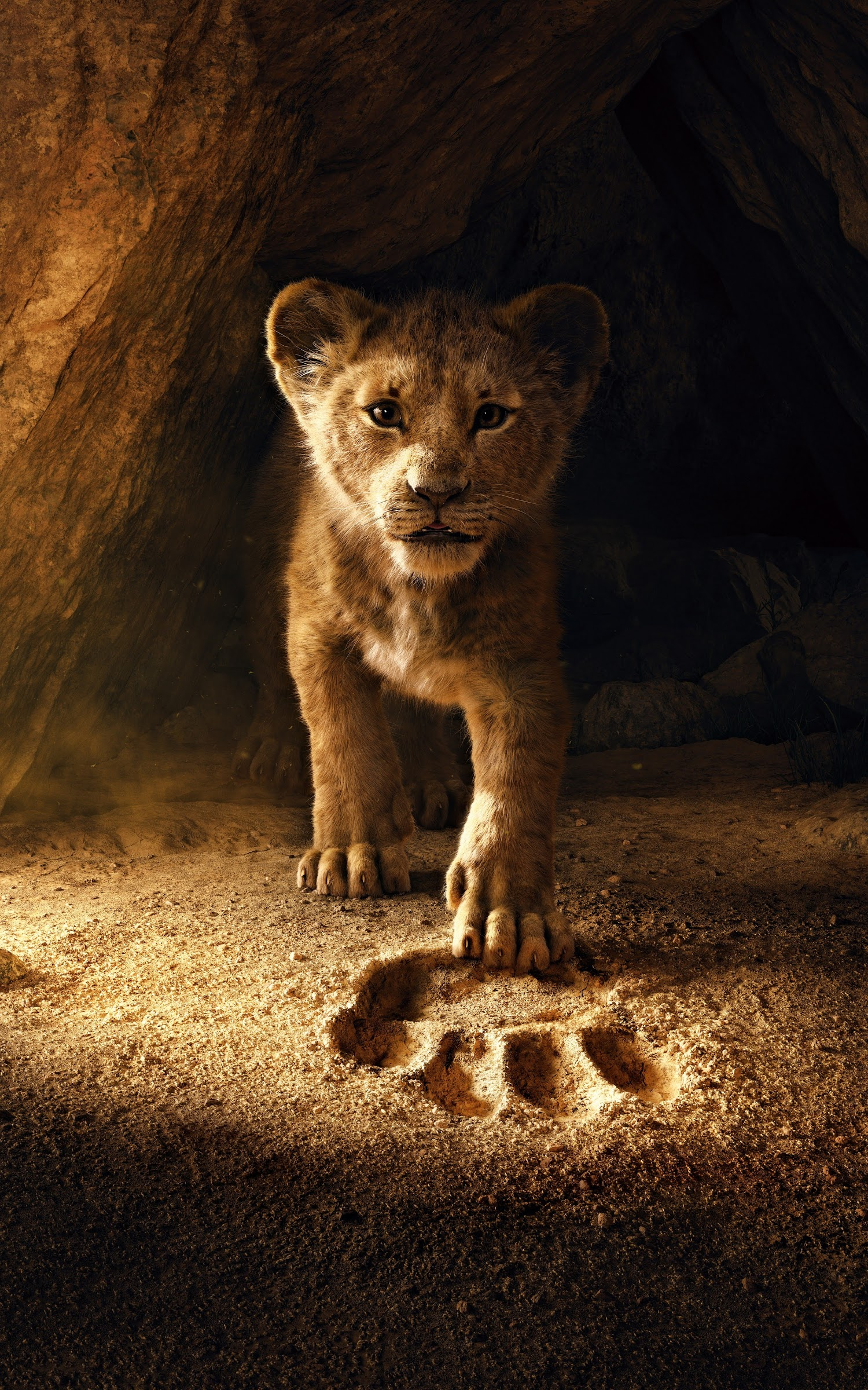 The Lion King (2019) wallpaper. Movies Category. Laginate. Lion king picture, Lion wallpaper, Lion king movie