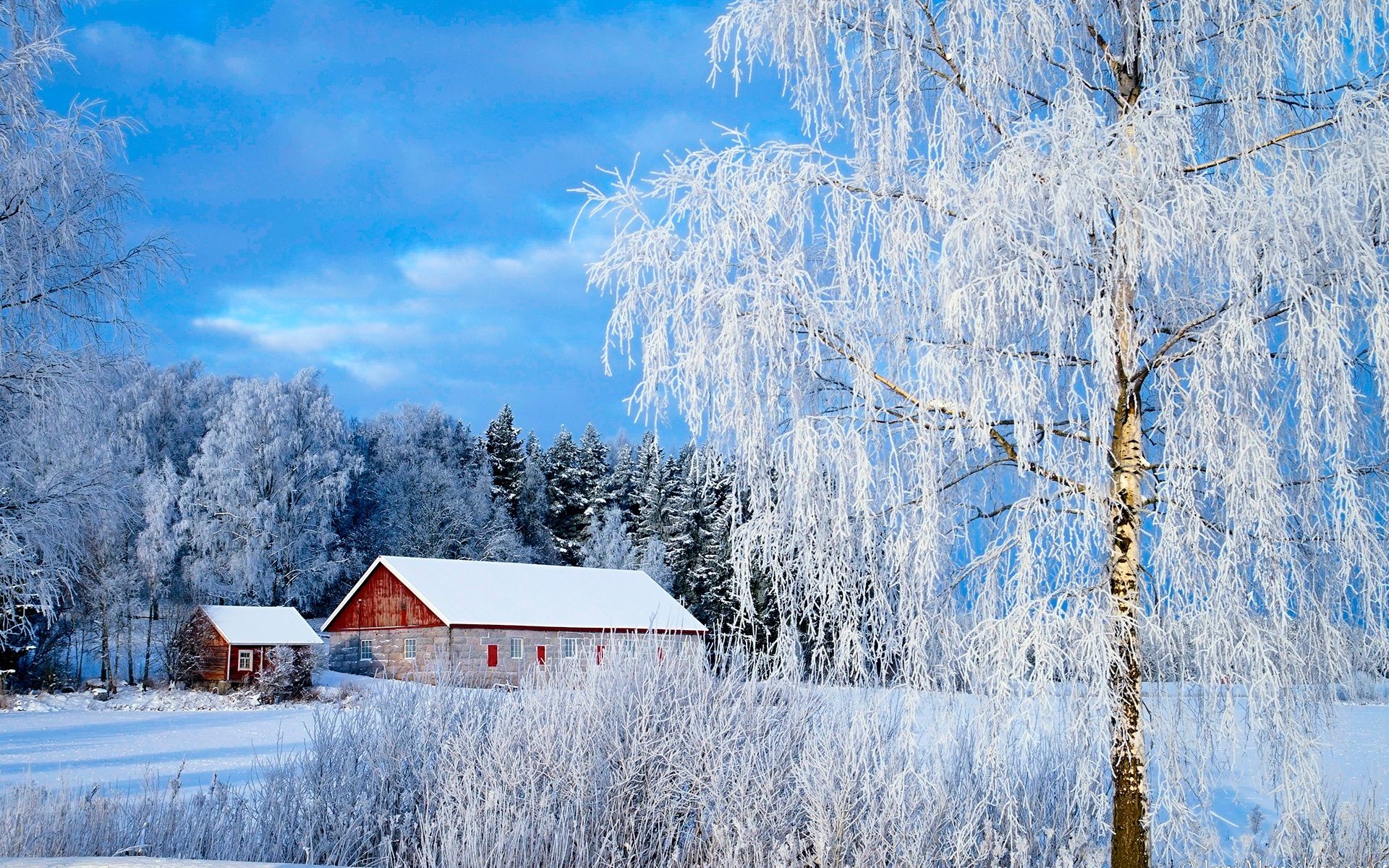 Wallpaper Paimio, Finland, trees, snow, house, winter 1920x1200 HD Picture, Image