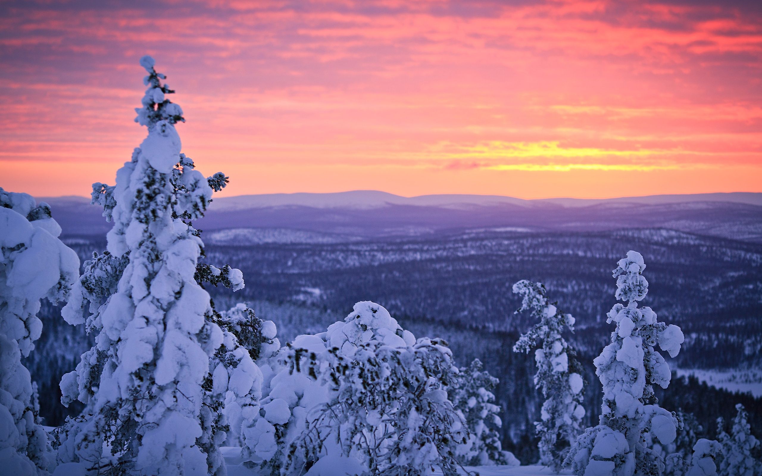 Wallpaper Finland, Lapland, winter snow, forest, sunset, sky 2560x1600 HD Picture, Image