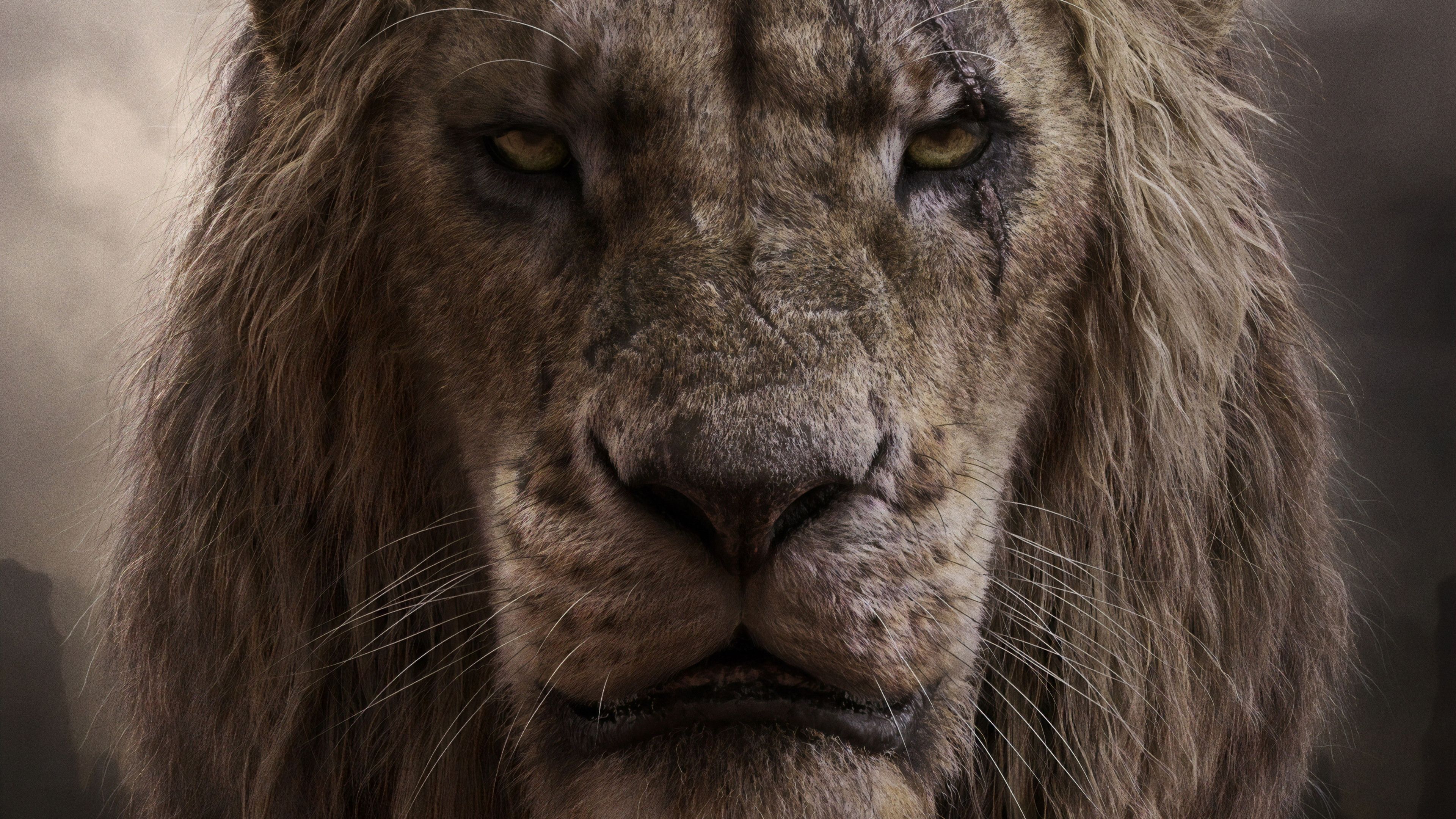 The Lion King, Scar, 4k, HD Wallpaper
