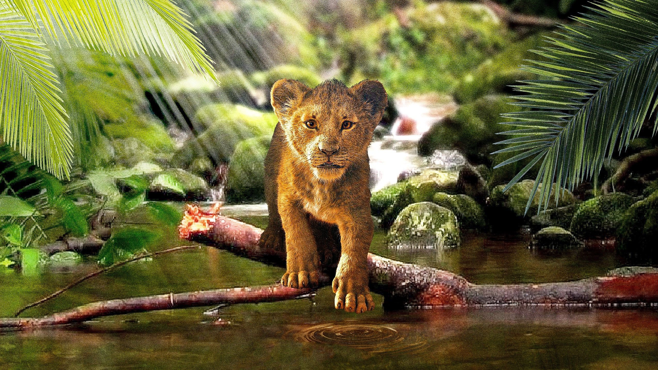 Lion King Simba Wallpaper 4k HD Wallpaper