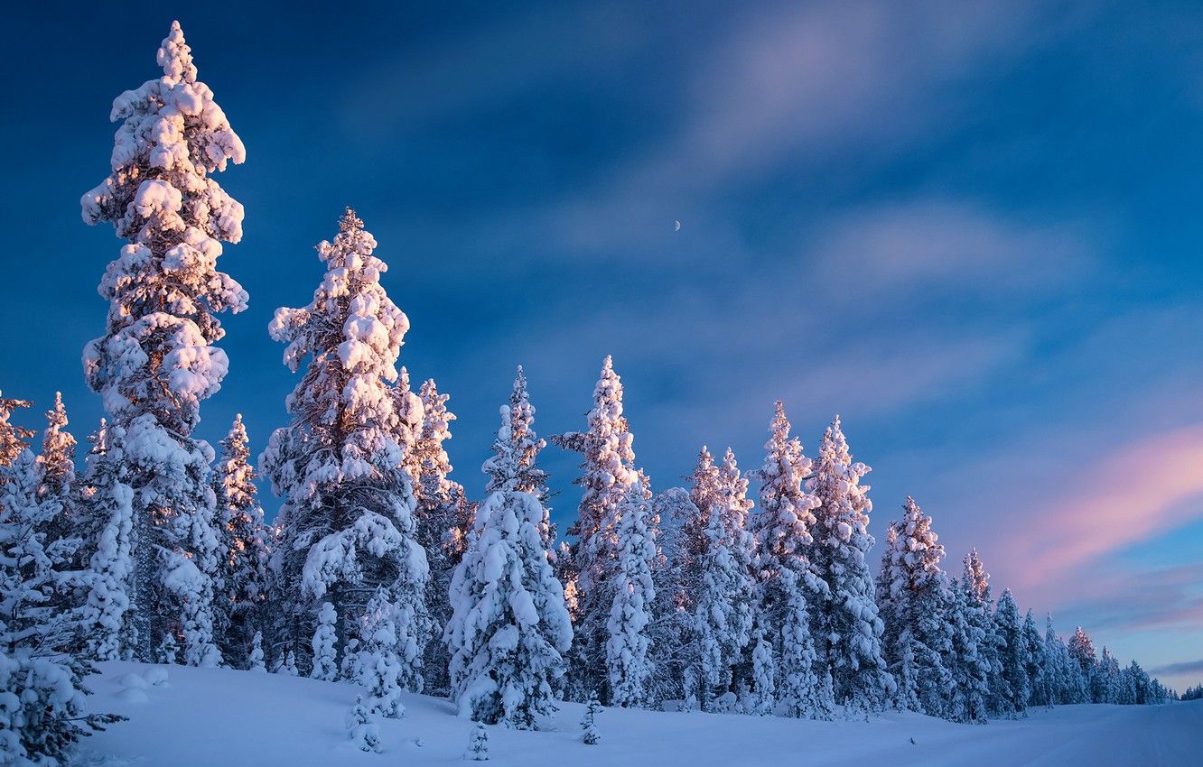 Wallpaper winter, road, forest, the sky, snow, trees, ate, Finland, Finland, Lapland, Lapland image for desktop, section пейзажи