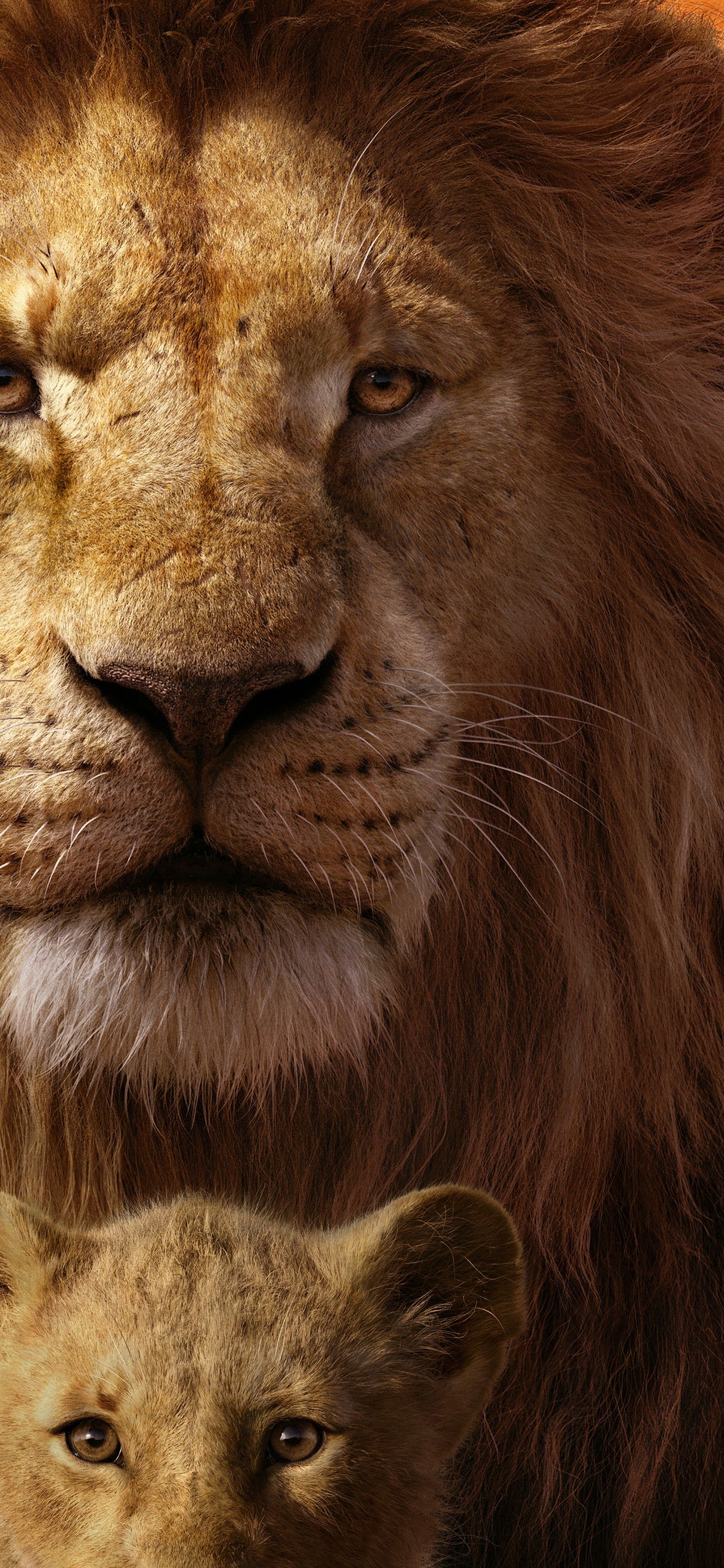 The Lion King 2019 Mufasa Simba 8K Wallpaper