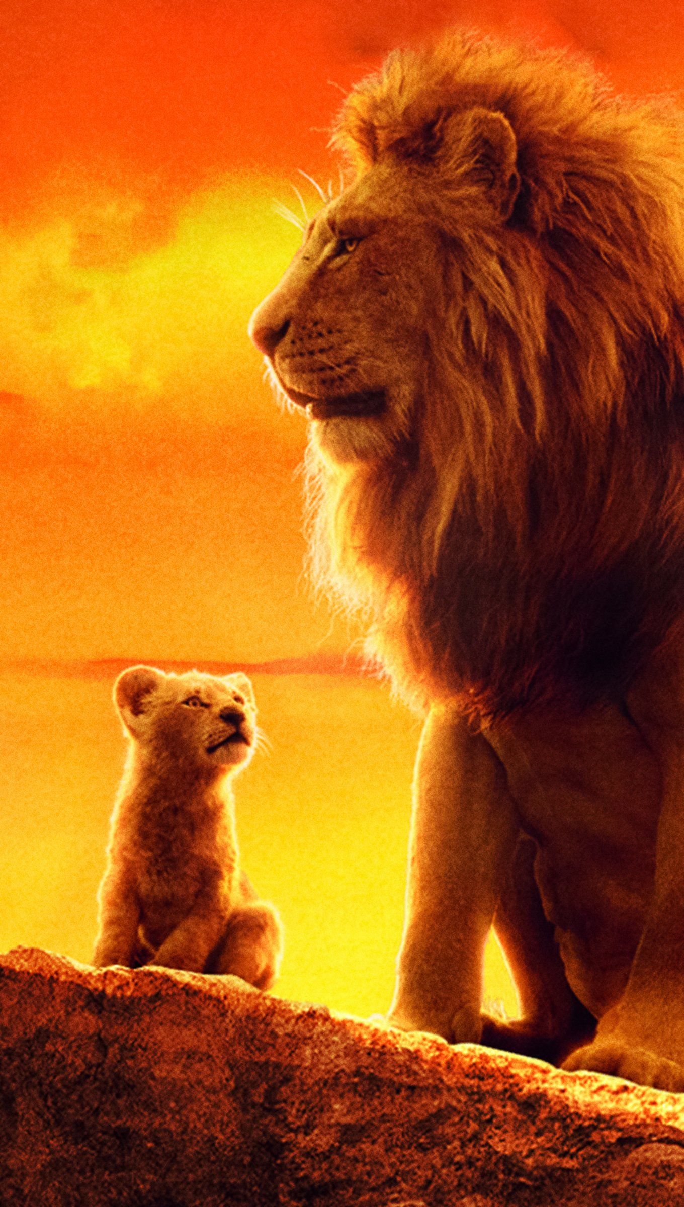 The Lion King Wallpaper 4k Ultra HD