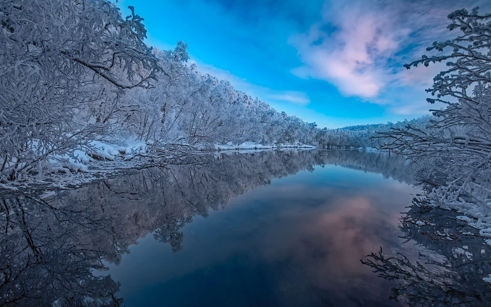 Download wallpaper Finland, winter, snowy forest, finnish nature, Lapland, Europe, beautiful nature for desktop with resolution 1920x1200. High Quality HD picture wallpaper