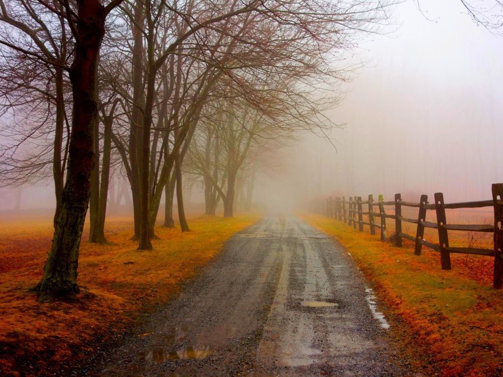 Foggy Road Autumn One HD Wallpaper Picture Background Wallpaper Foggy