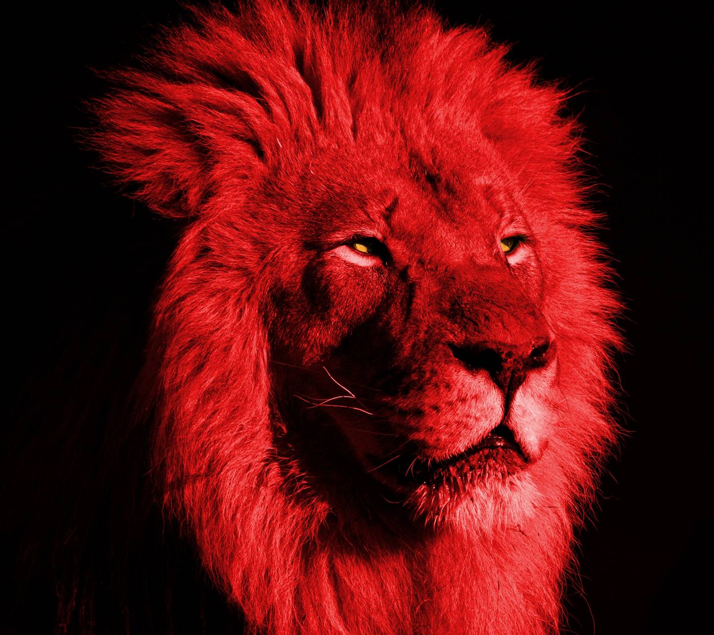 Red Lion wallpaper