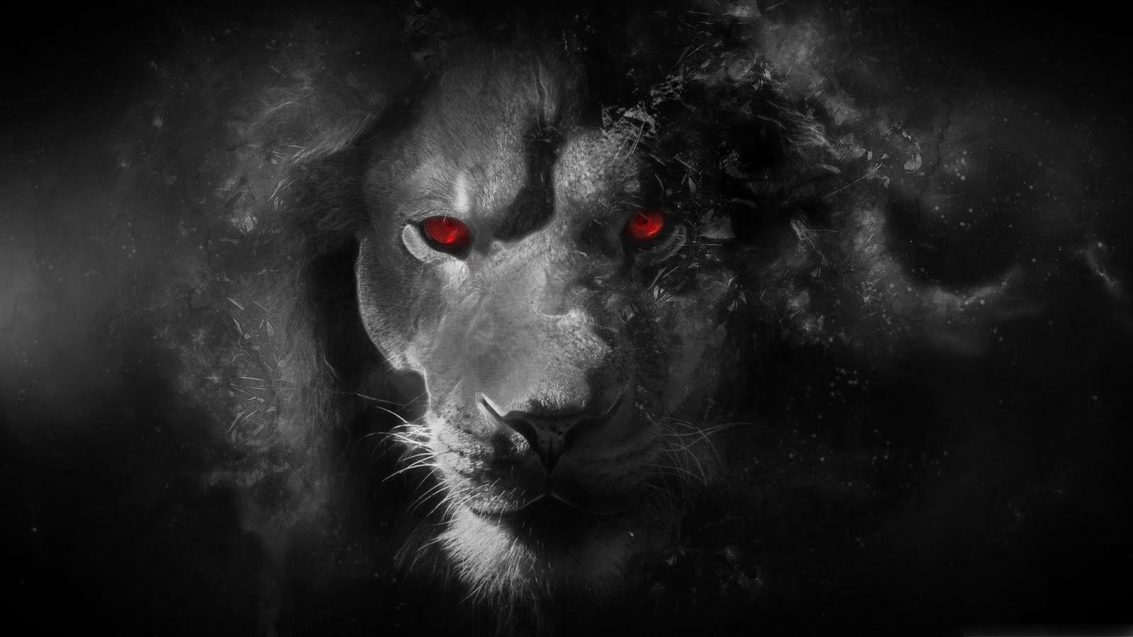 Wallpaper Black Lion With Red Eyes