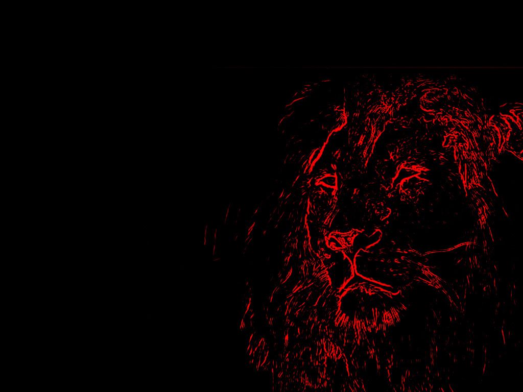 Free download smoke lion wallpaper angry lion animated lion wallpaper red lion [1024x768] for your Desktop, Mobile & Tablet. Explore Sanny Lion Best Wallpaper 2015. Sunny HD Wallpaper, Sunny