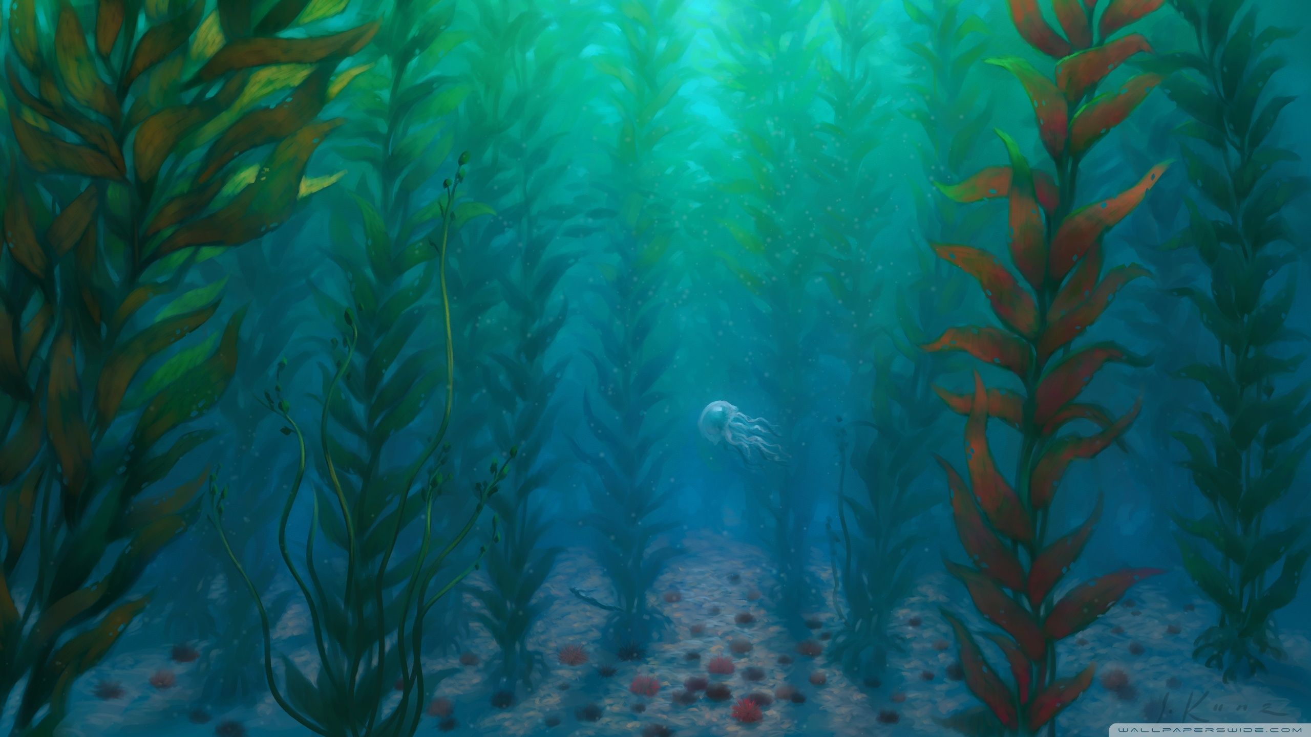 Underwater Seaweed Wallpaper & Background Download