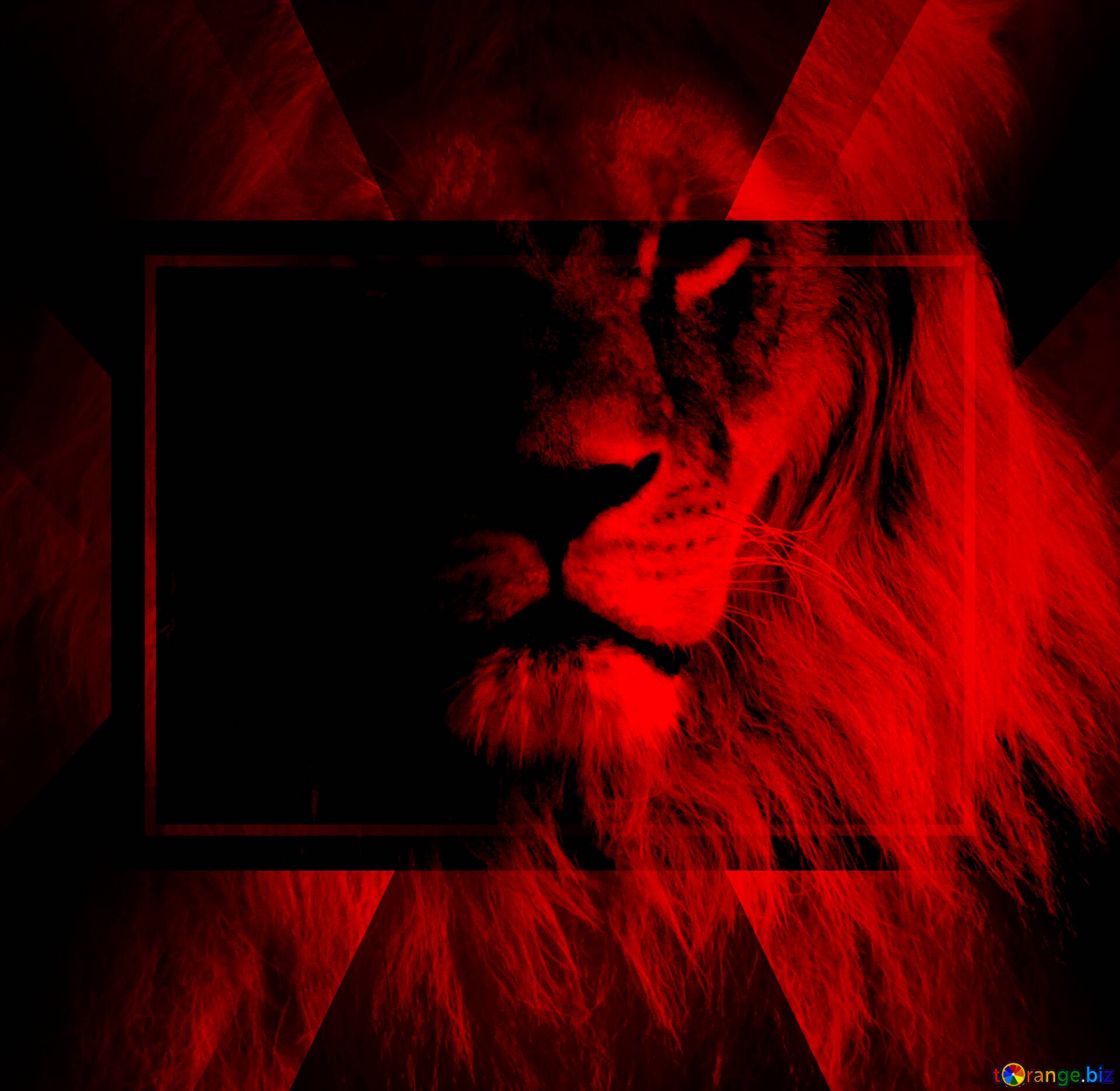 Download Free Picture Red Lion Portrait Powerpoint Website Infographic Banner Layout Design Responsive Brochure Business On CC BY License Free Image Stock TOrange.biz Fx №186481