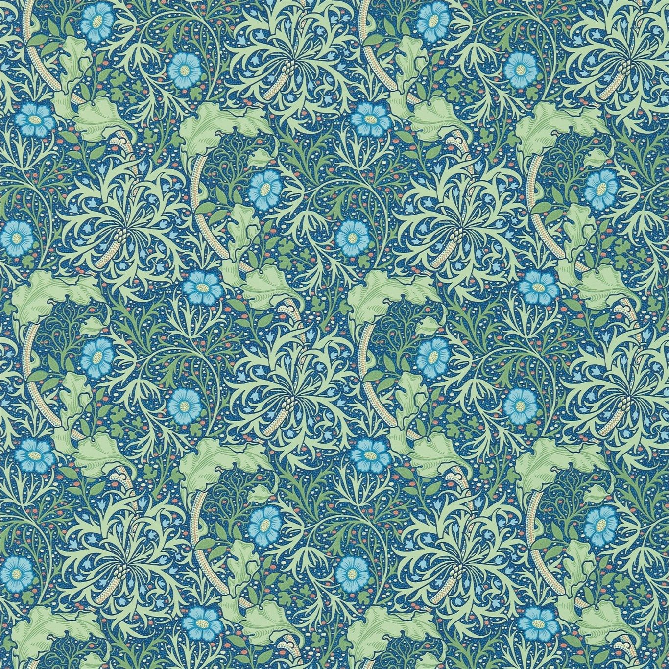Seaweed Wallpapers - Wallpaper Cave