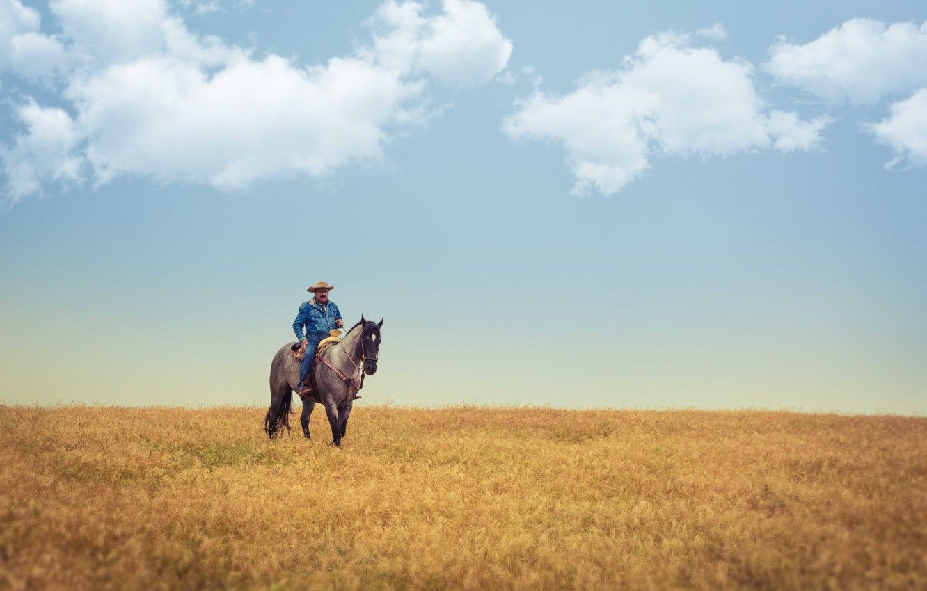 Wallpaper field, the sky, clouds, horse, cowboy, farm, the countryside image for desktop, section ситуации