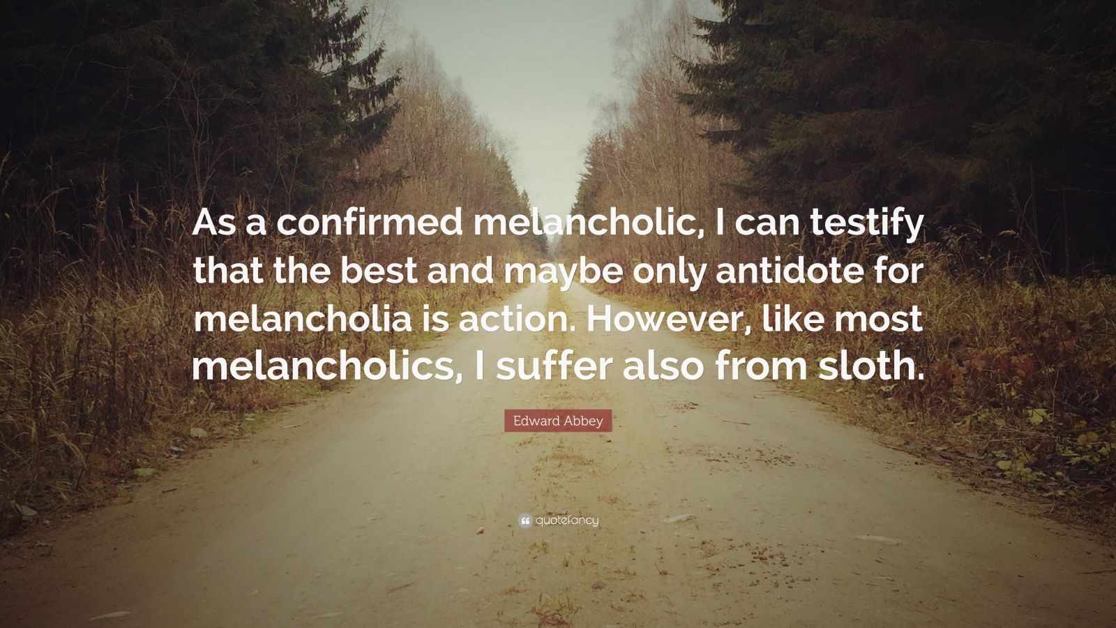 Edward Abbey Quote: “As a confirmed melancholic, I can testify that the best and maybe only antidote for melancholia is action. However, like.” (12 wallpaper)
