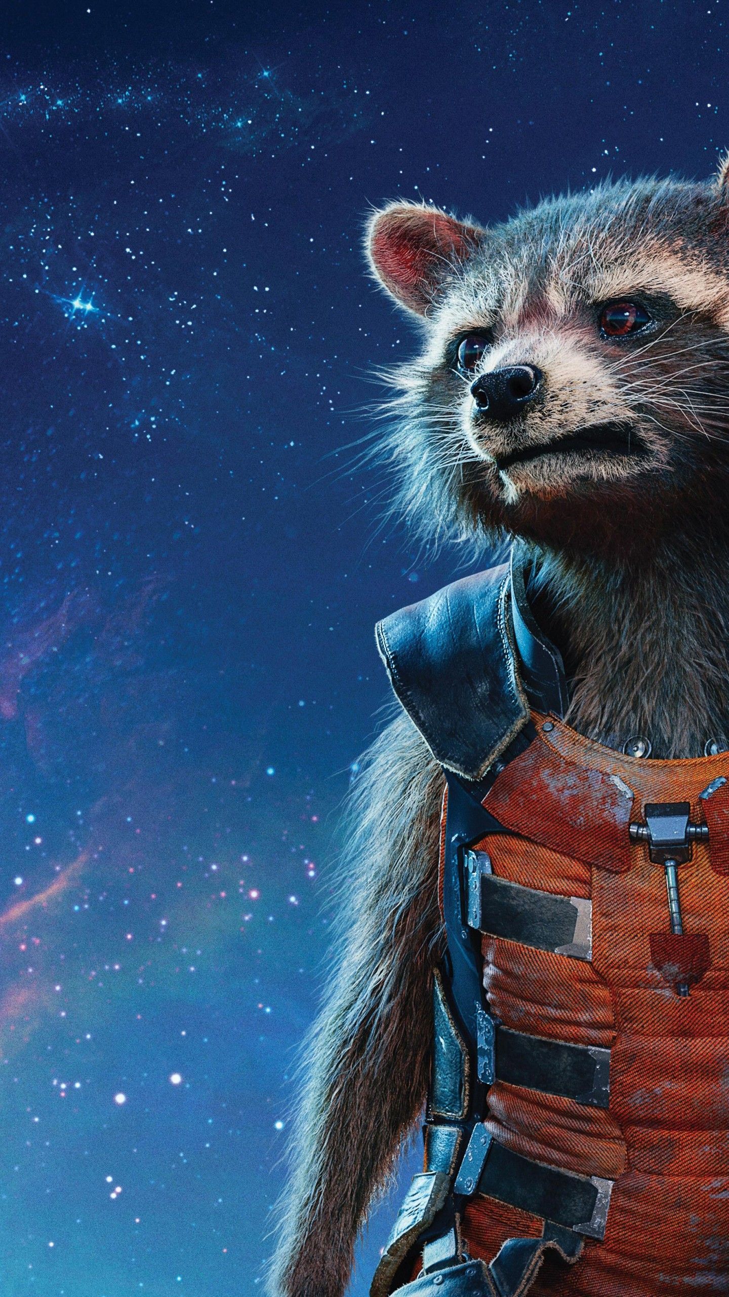 Rocket Raccoon Marvels Guardians Of The Galaxy Wallpa - vrogue.co