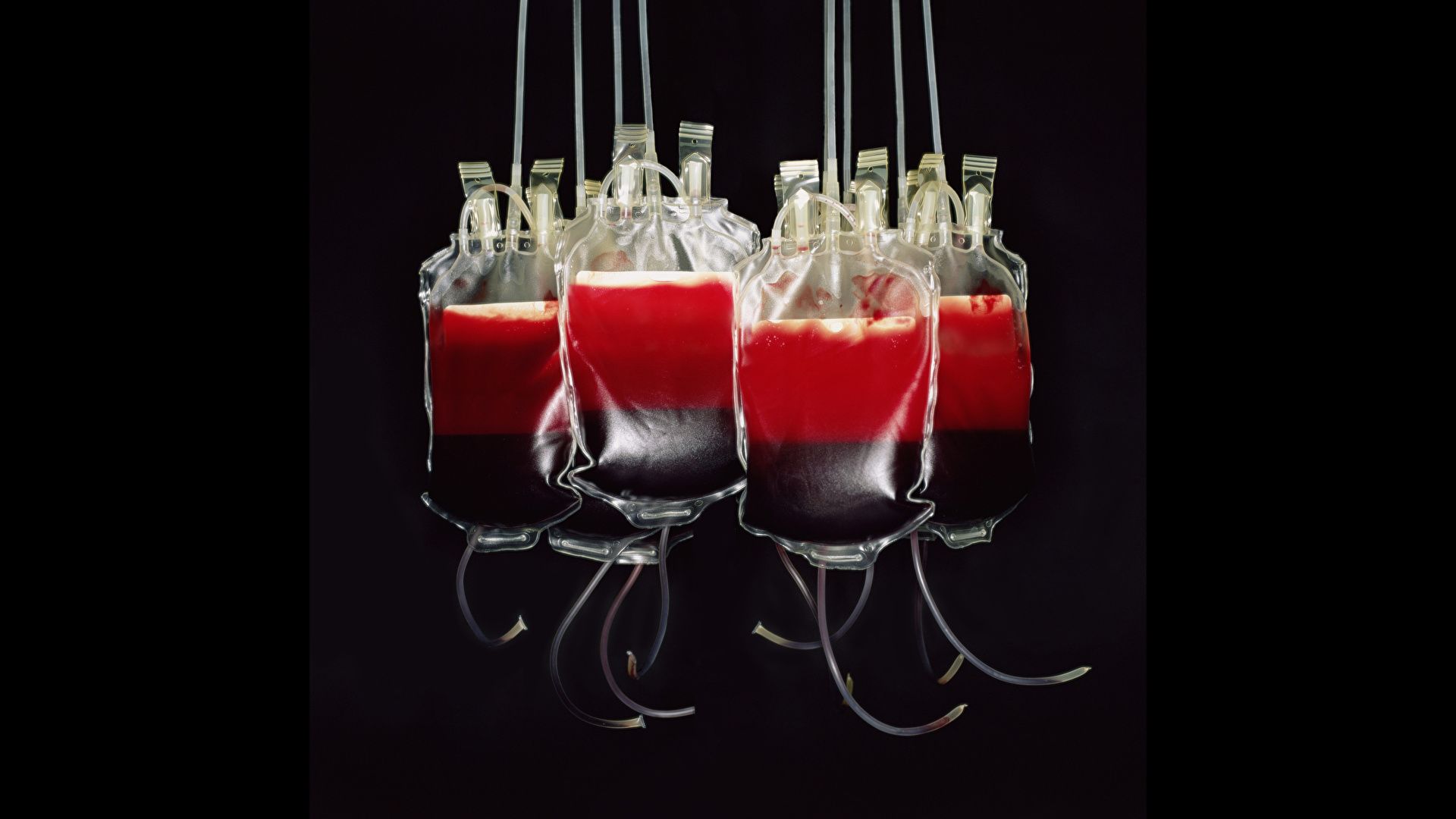 Wallpaper Blood blood bags blood transfusion blood 1920x1080