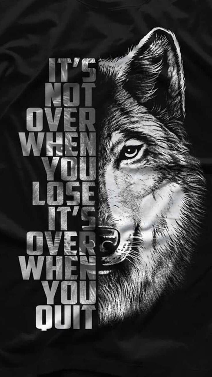 تصویر زمینه گرگ. Wolf Wallpaper. All in Bit Wallpaper. Warrior quotes, Wolf quotes, Encouragement quotes