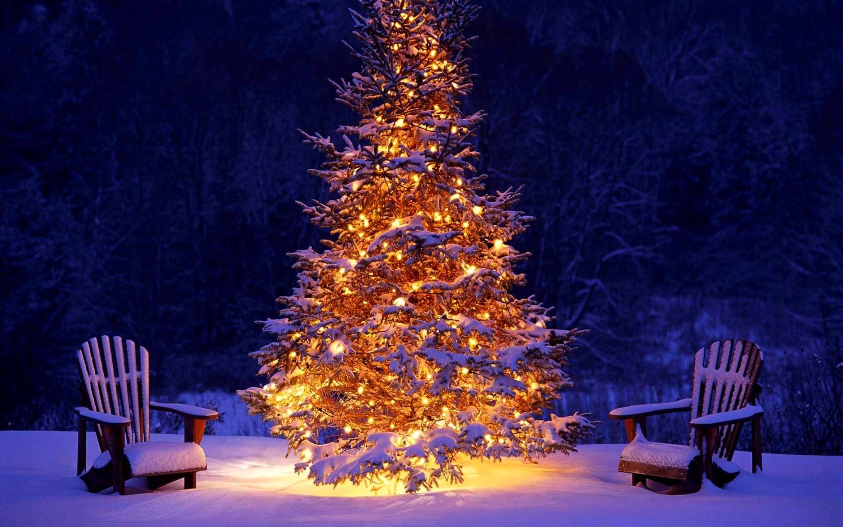 Christmas tree Mac Wallpaper Download