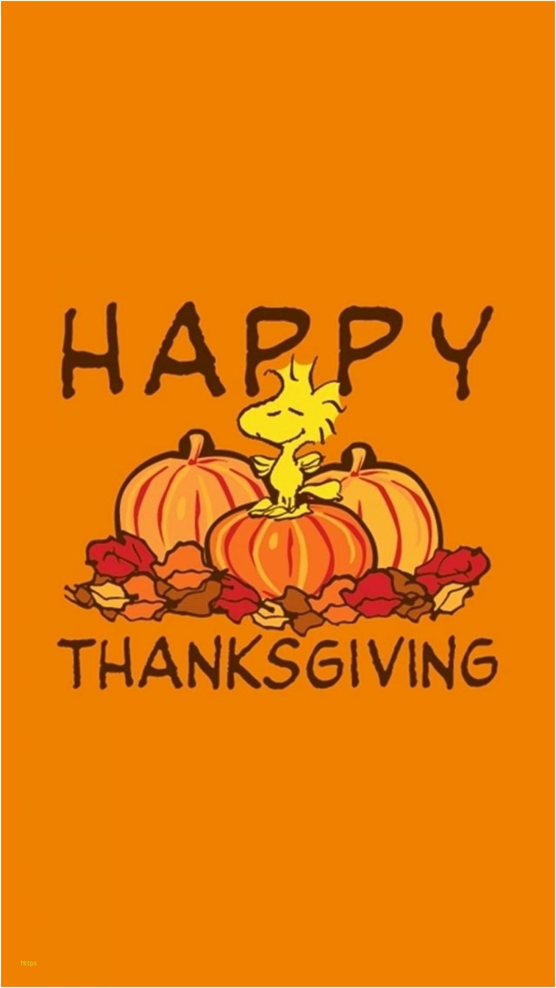 Cute Thanksgiving iPhone Wallpaper