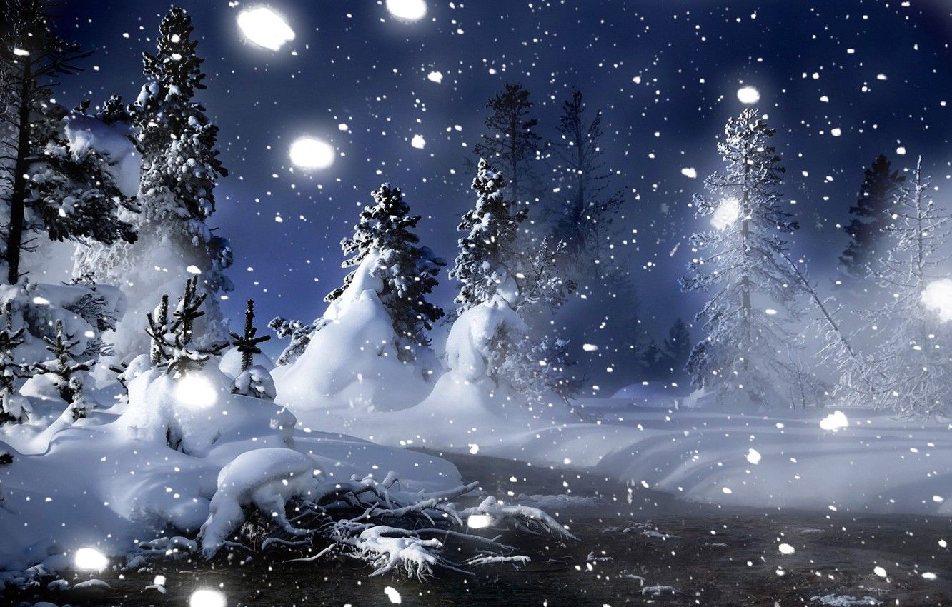 Wallpaper winter, snow, night, Forest, Christmas trees image for desktop, section природа