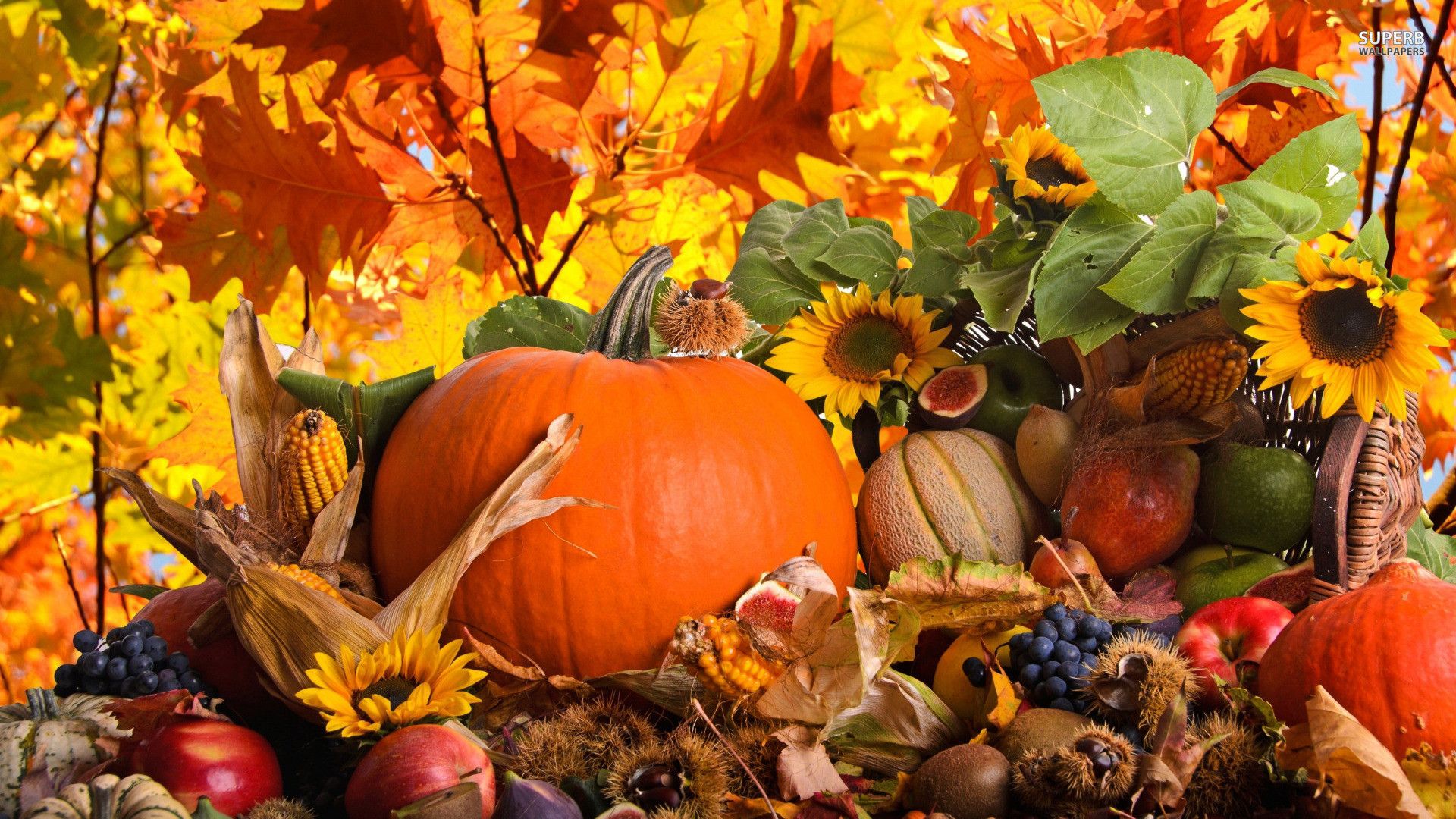 image about Autumn Thanksgiving, Screensaver 1920x1080
