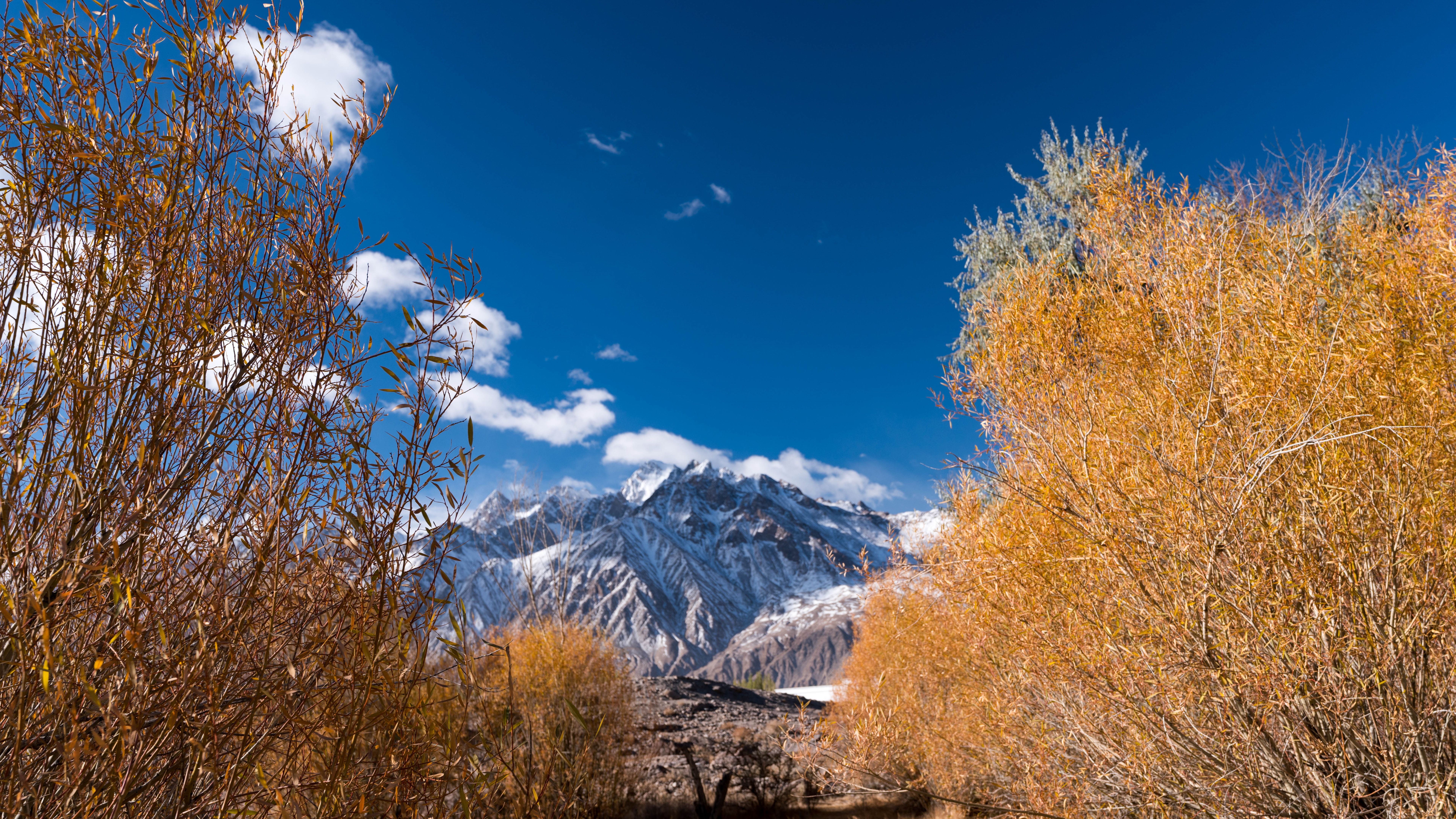 Wallpaper Trees, autumn, Pamirs, mountains, blue sky 7680x4320 UHD 8K Picture, Image