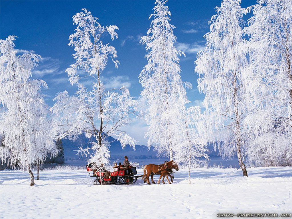 Winter Scenes Wallpaper