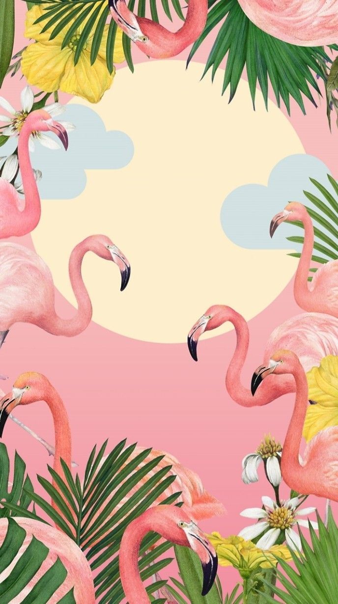 wallpaper. Flamingo wallpaper, Bird wallpaper, Summer wallpaper
