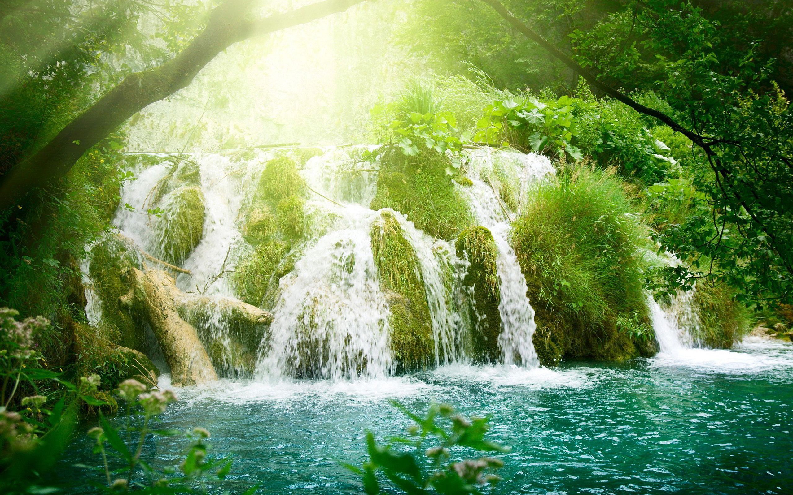Waterfall- (2560×1600). Waterfall landscape, Waterfall wallpaper, Beautiful nature