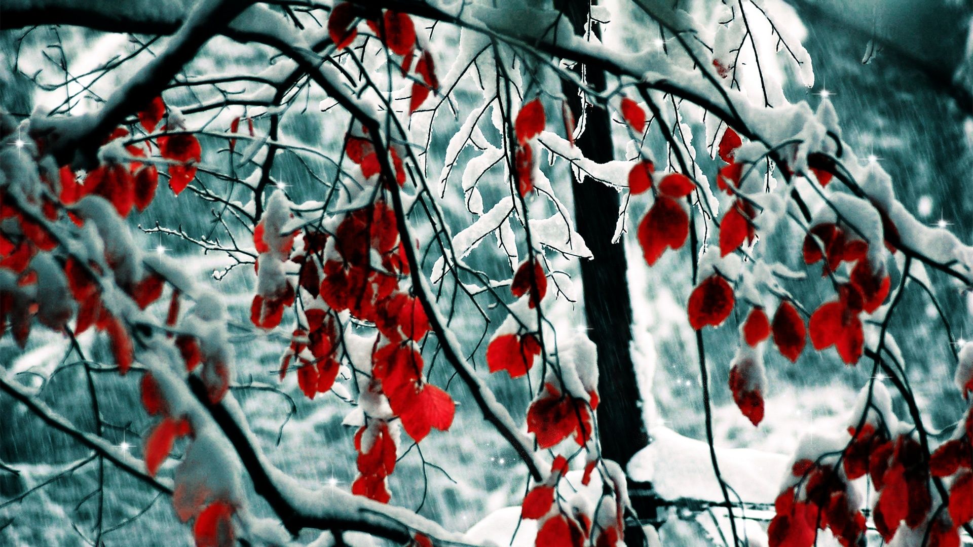 Snow Leaves Wallpaper in jpg format for free download