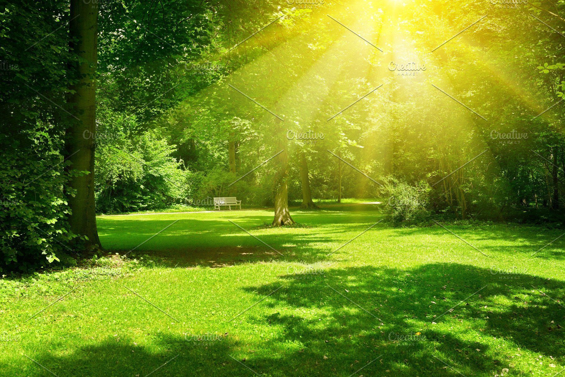 Bright sunny day in park. Scenery background, Anime scenery wallpaper, Anime background wallpaper