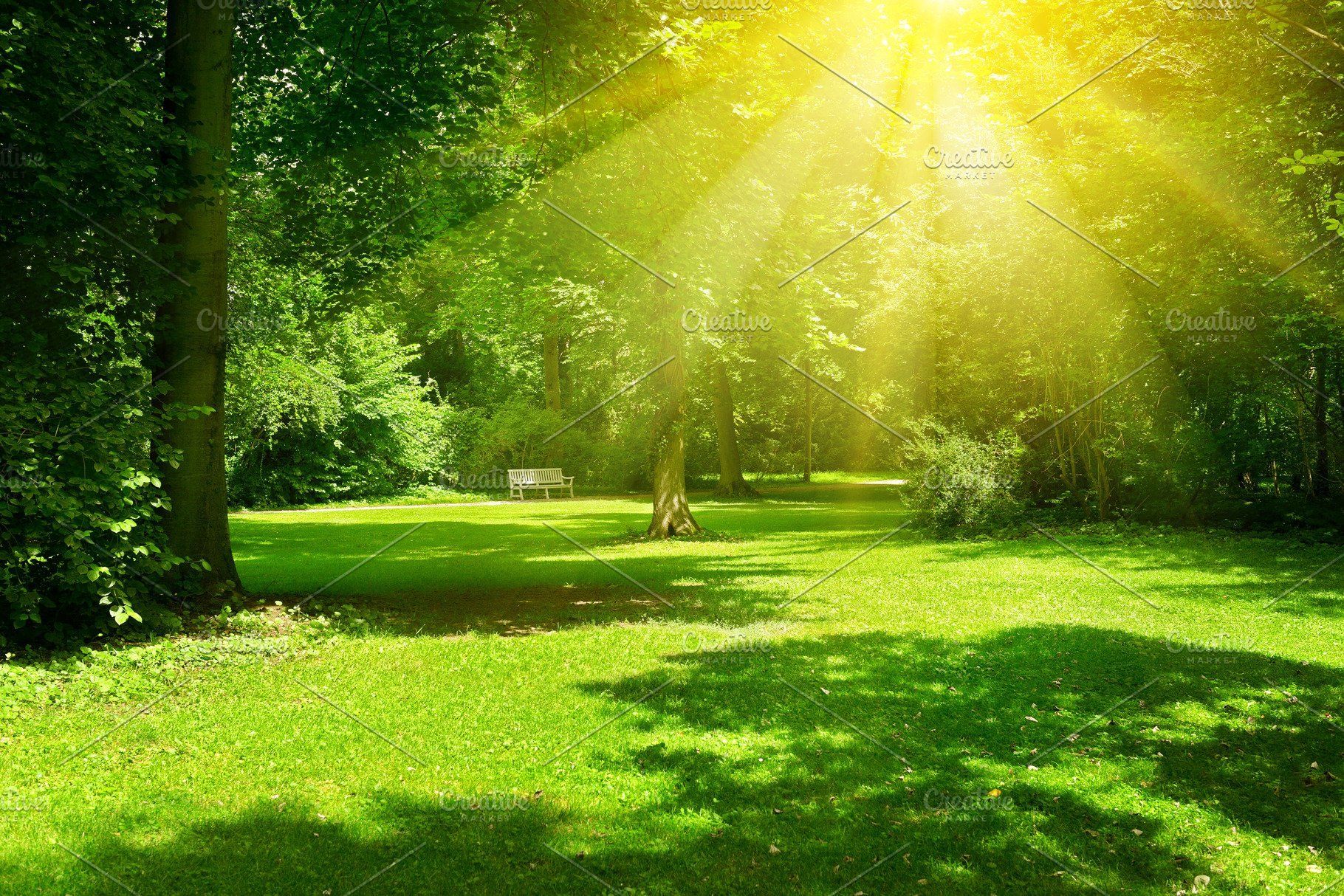 Sunny Afternoon Wallpapers Wallpaper Cave
