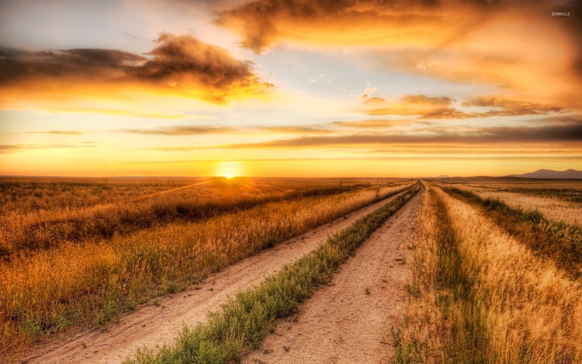 Burning sky above the autumn field