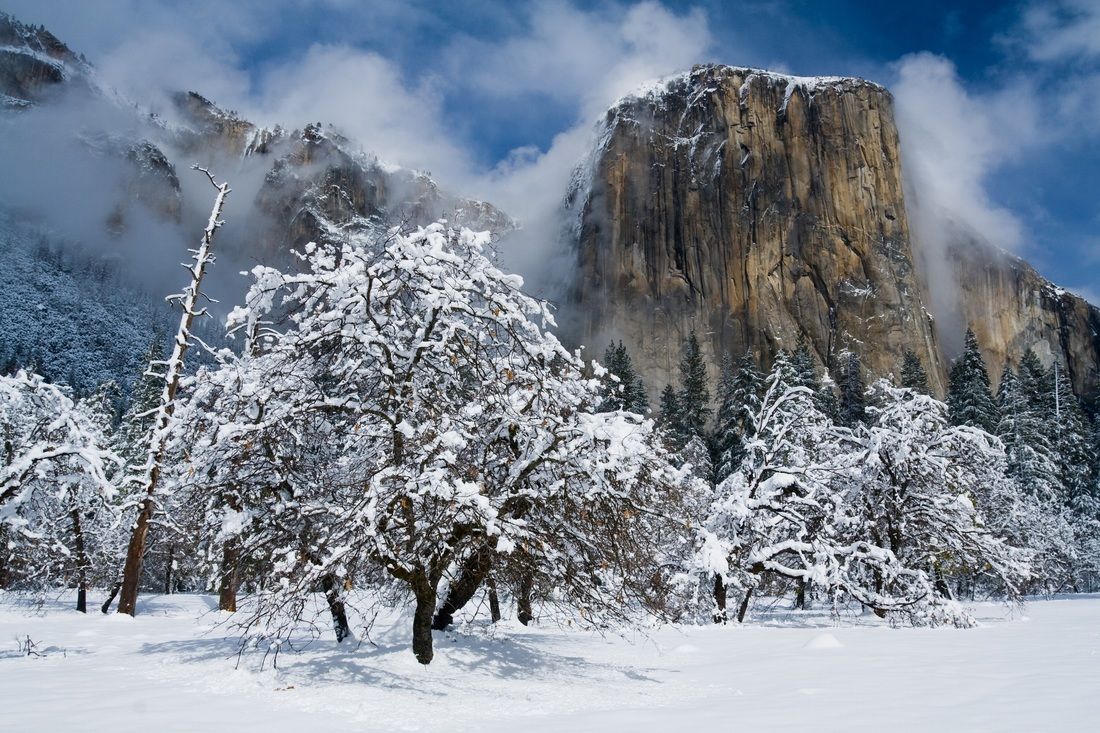Yosemite Winter Tours. Yosemite Winter Activities Private Tours. Yosemite Guided Activities