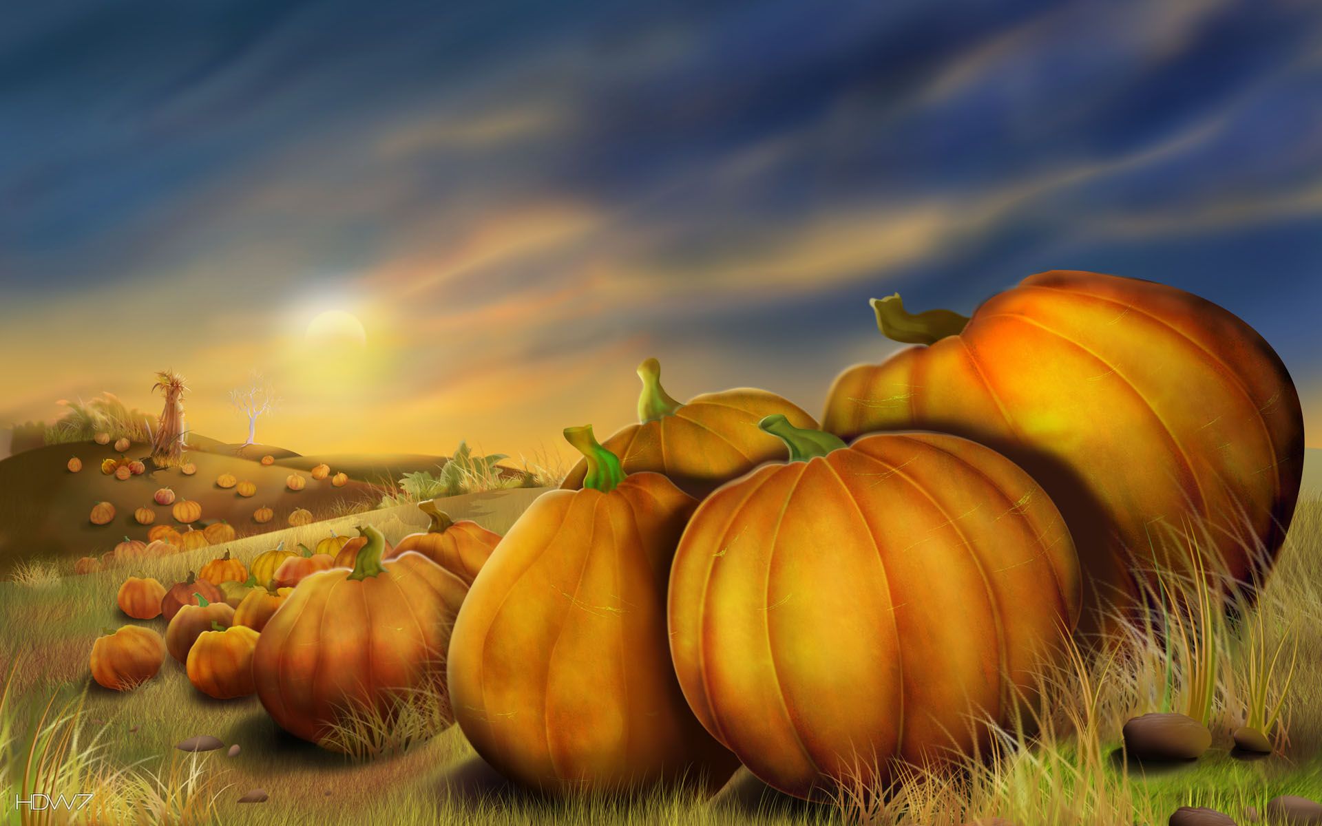 thanksgiving day pumpkins field autumn painting holiday. HD wallpaper gallery