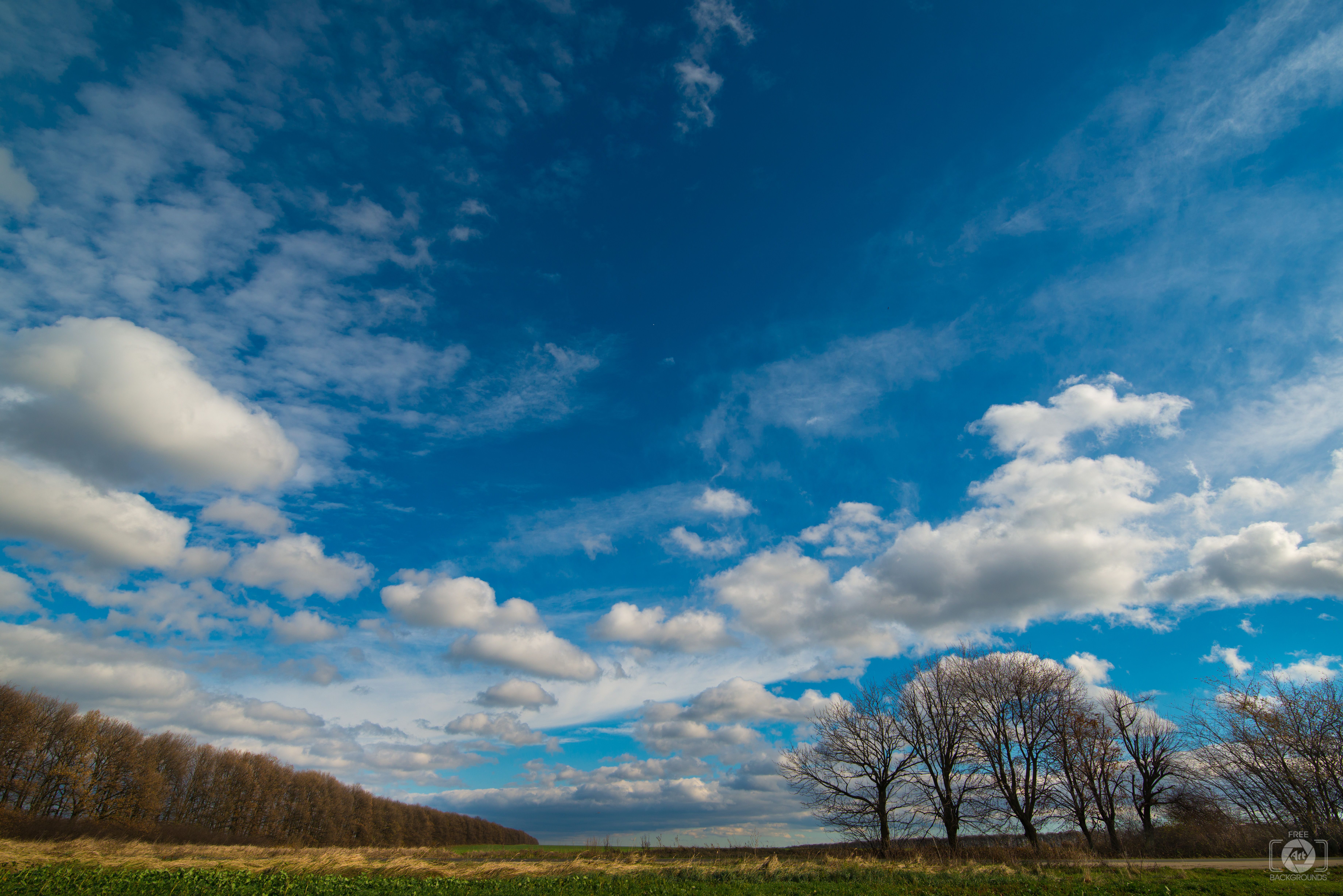 Autumn Field Landscape Background Quality Free Background