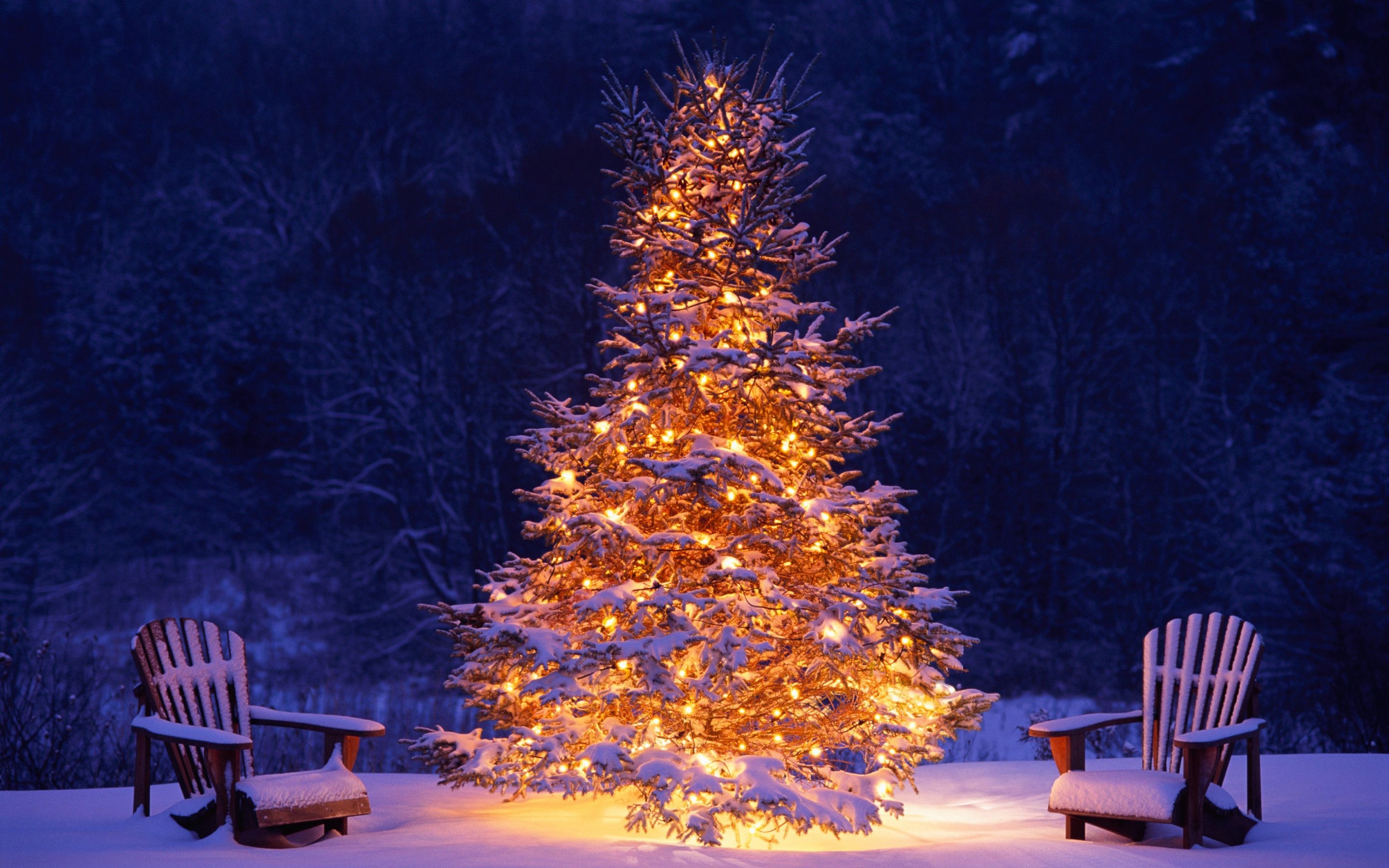 Download 2880x1800 wallpaper christmas tree, chairs, winter, christmas, holiday, mac pro retaia image, background, 1460